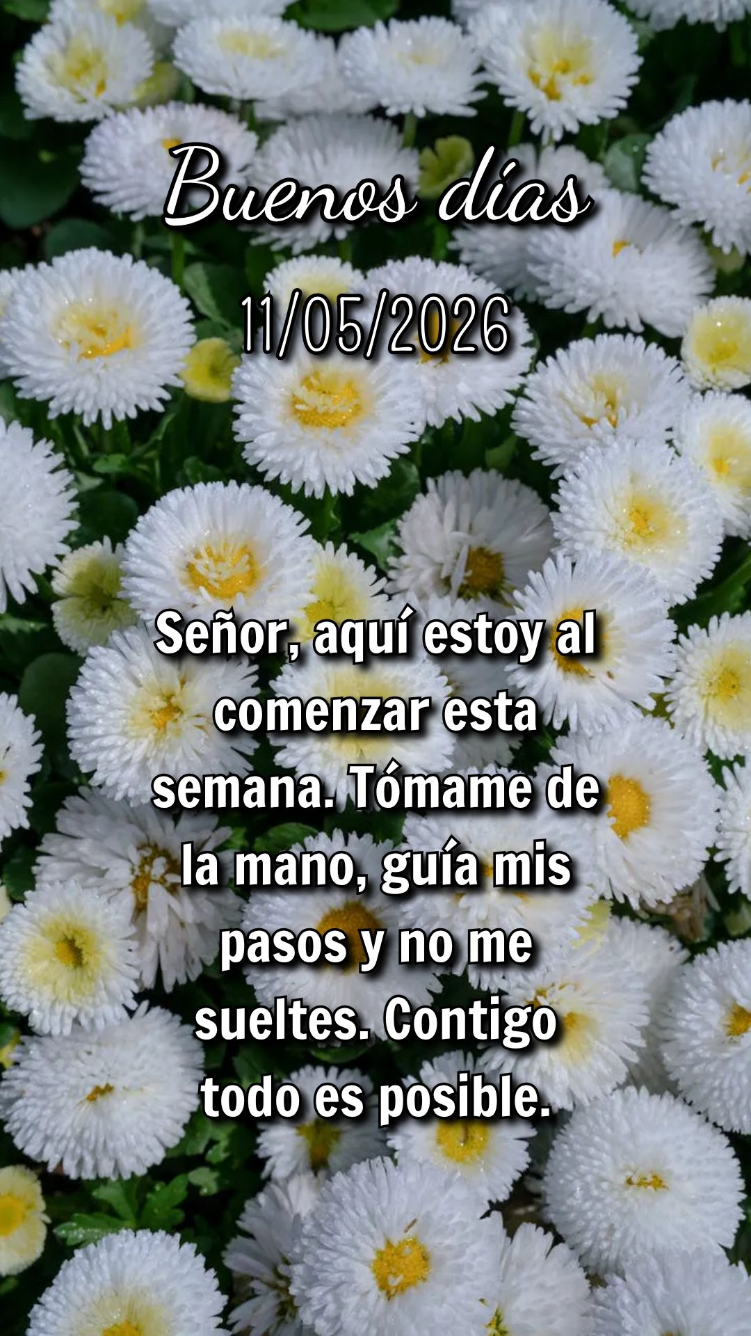 Não desista no meio do caminho. Deus tem planos de bem para você, e dias melhores estão a caminho. Confie no tempo do Senhor. Jeremias 29:11