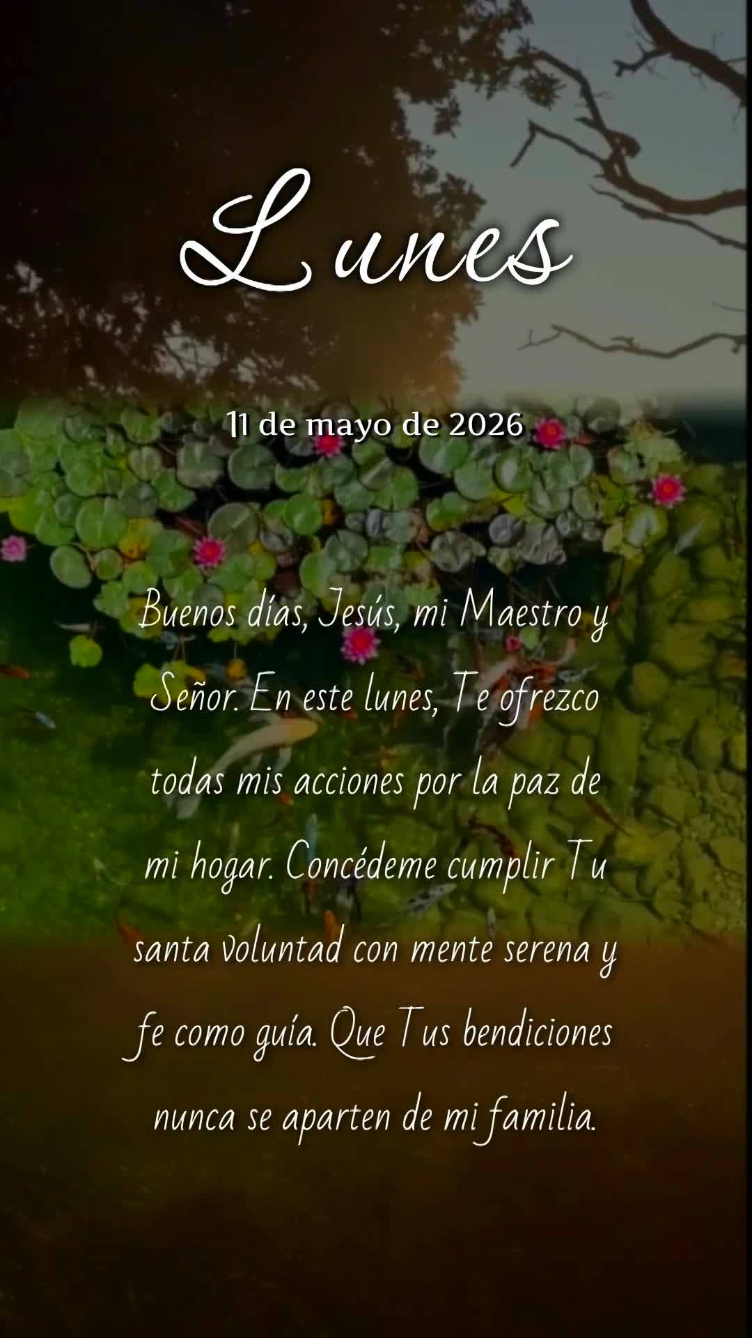 Bom dia, Jesus, meu Mestre e Senhor. Nesta segunda-feira, ofereço-Te todas as minhas ações para a paz do meu lar. Concede-me cumprir Tua santa vontade...