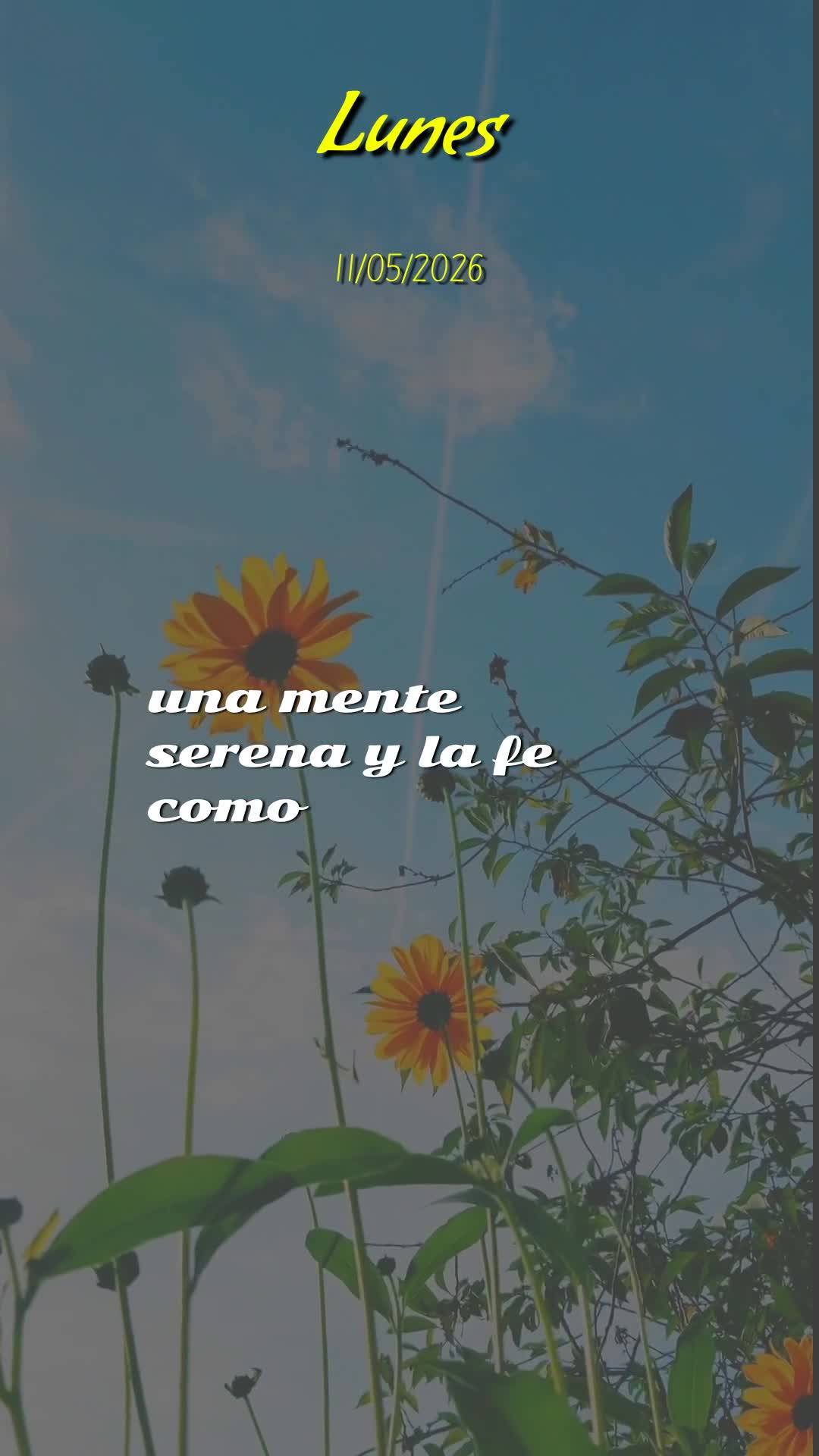 Bom dia, Jesus, meu Mestre e Senhor. Nesta Segunda-feira, 11 de Maio de 2026, mais uma manhã começa, e eu Te ofereço todas as minhas ações deste dia...