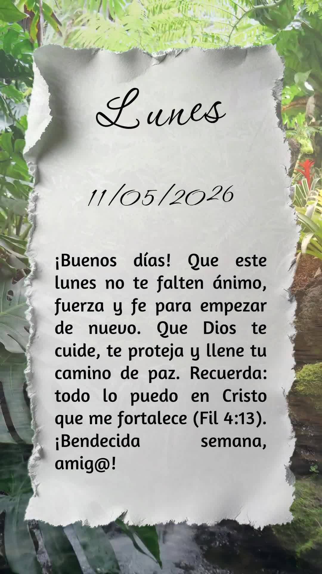 Bom dia! Que nesta segunda-feira não te falte ânimo, força e fé para recomeçar. Que Deus te guarde, te proteja e ilumine cada passo seu. Lembre-se: ...