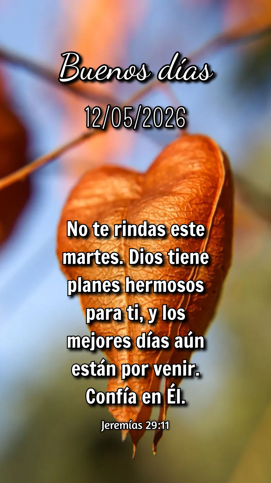 Você não está sozinho nesta terça-feira. Confie: Deus caminha contigo, mesmo nos dias comuns. Respire fundo e siga em paz. Isaías 41:10