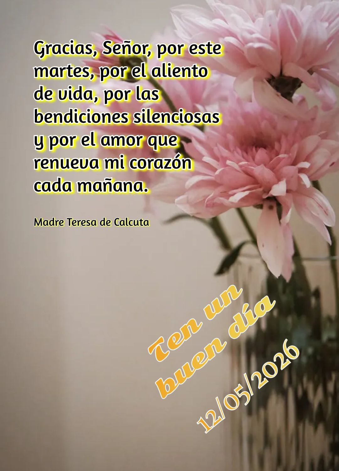 Nesta terça-feira, percebo que o propósito de Deus se revela nos pequenos passos. Confio no caminho, mesmo sem ver o fim. Há esperança em cada amanhe...