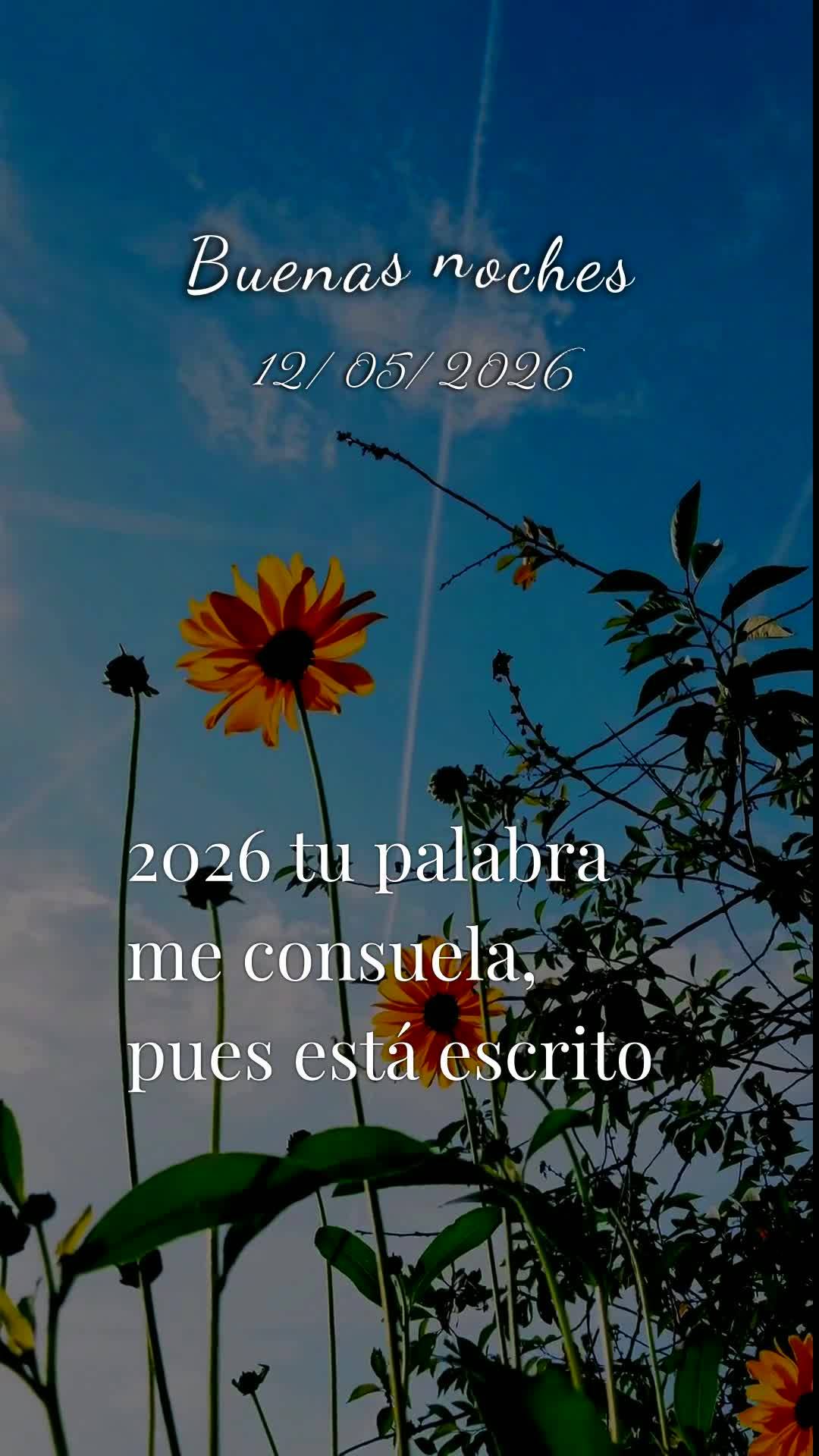 Boa noite, Senhor. Obrigado, meu Deus, por mais uma terça-feira vencida. Tu me livraste de todo mal e me concedeste saúde e força para vencer mais um ...