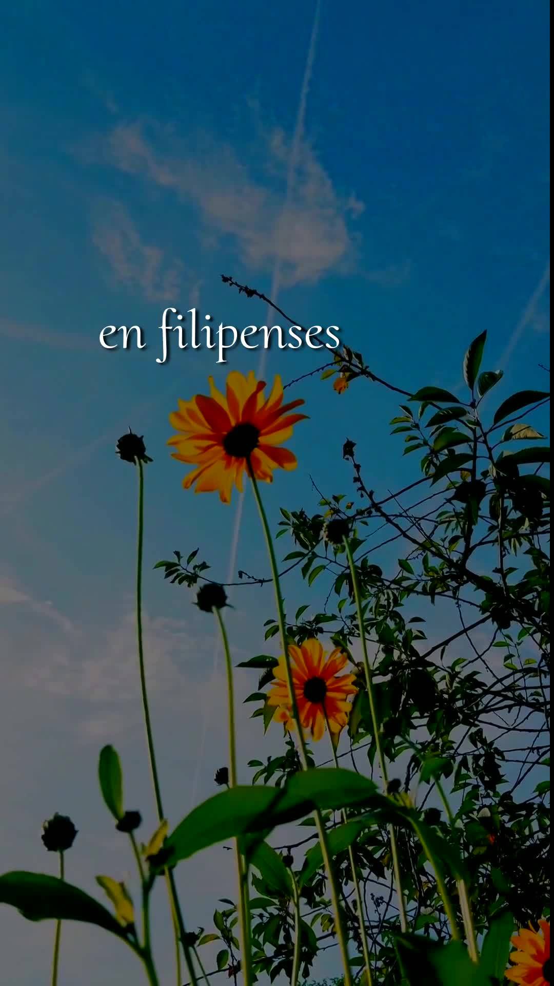 Deus, hoje é terça-feira, meu Pai, dia doze de maio de dois mil e vinte e seis, e antes que esse dia avance, eu paro para te dizer: bom dia, Senhor. Ob...
