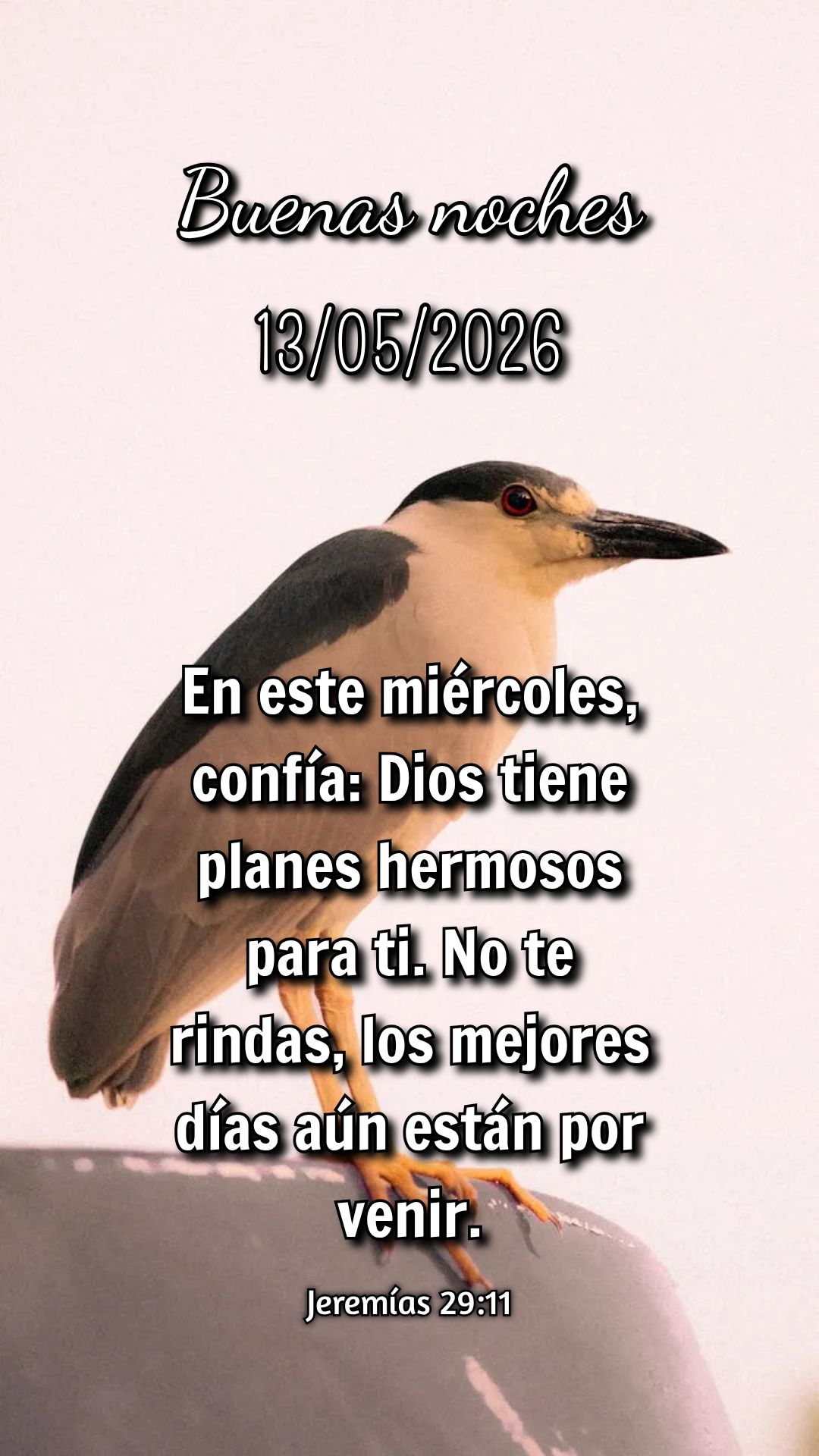 "Tudo posso naquele que me fortalece." Nesta quarta-feira, lembre-se: mesmo no meio da semana, Cristo é sua força para seguir adiante. Filipenses 4:13...