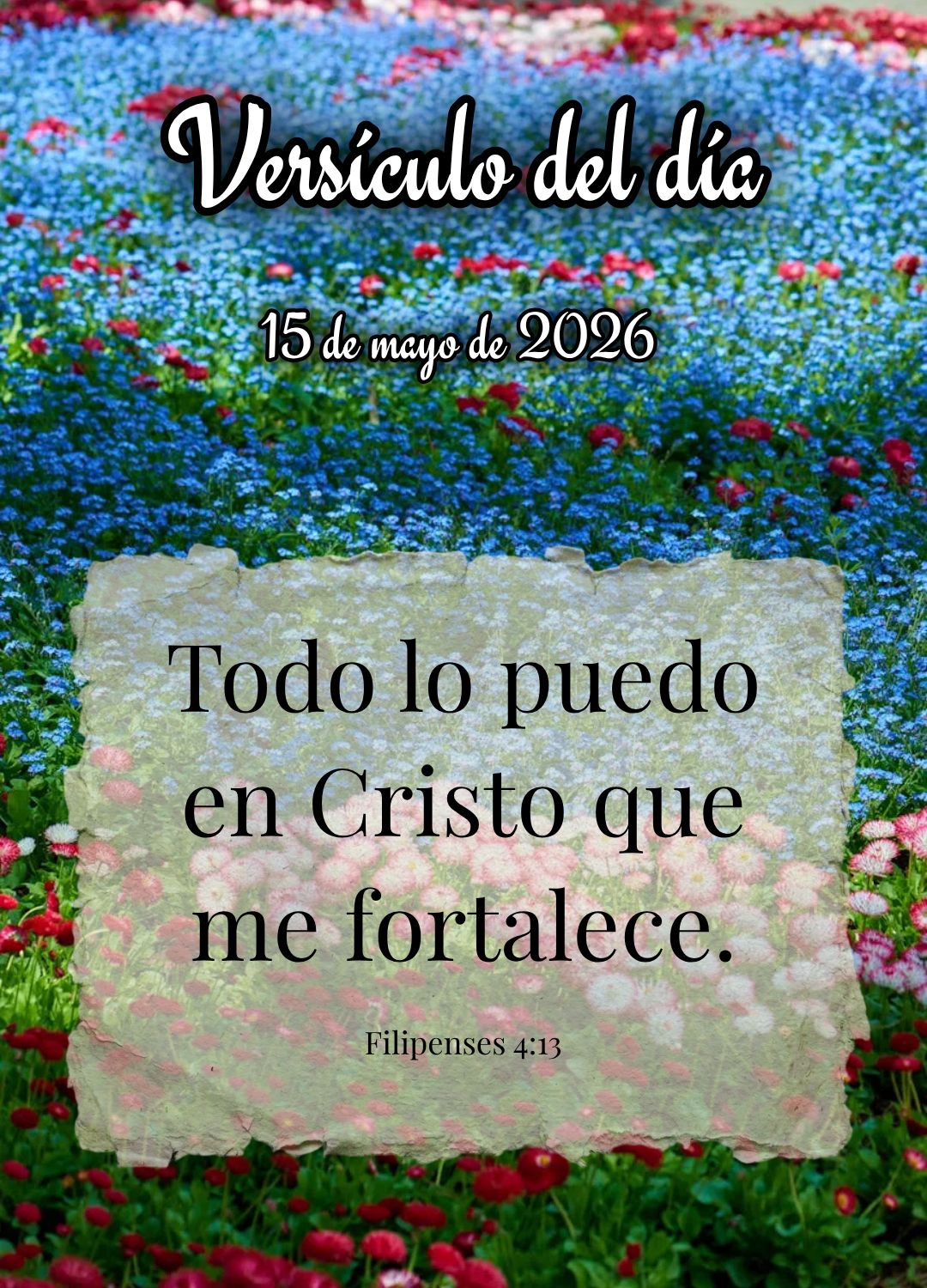 Posso todas as coisas naquele que me fortalece. Versículo do dia Filipenses 4:13