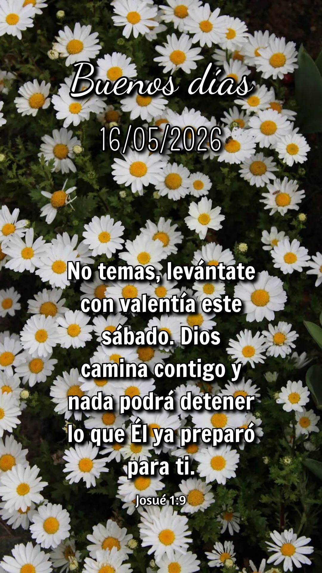 Você que carrega tantos pesos, descanse neste sábado. Jesus quer renovar seu coração e te lembrar que és muito amado por Deus. Hillsong