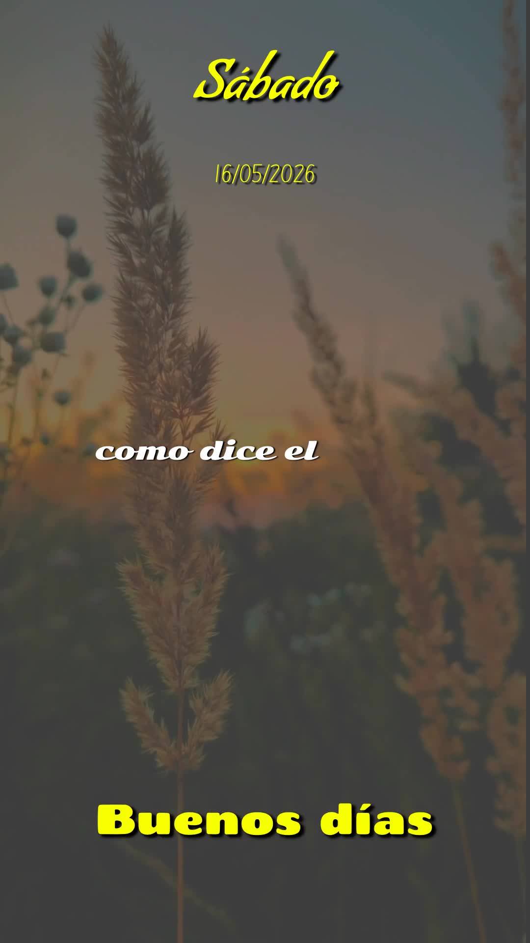 Bom dia! Neste sábado, 16 de Maio de 2026, eu proclamo uma bênção sobre a tua vida. Que o Senhor Jesus caminhe contigo neste dia de descanso, ao teu ...