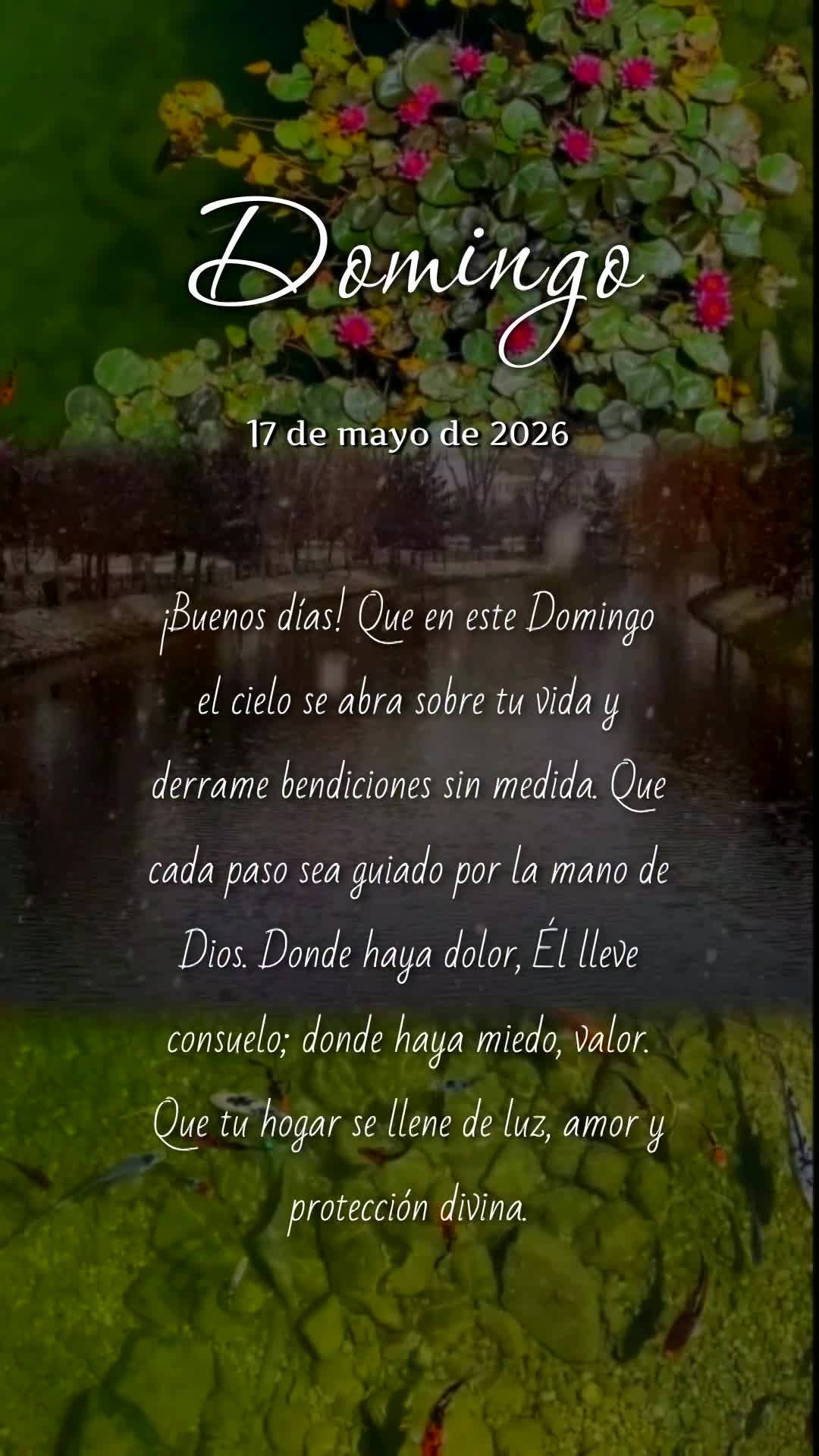 Bom dia! Que neste Domingo o céu se abra sobre sua vida e derrame bênçãos sem medida. Que cada passo seja guiado pela mão do Pai, e onde houver dor,...