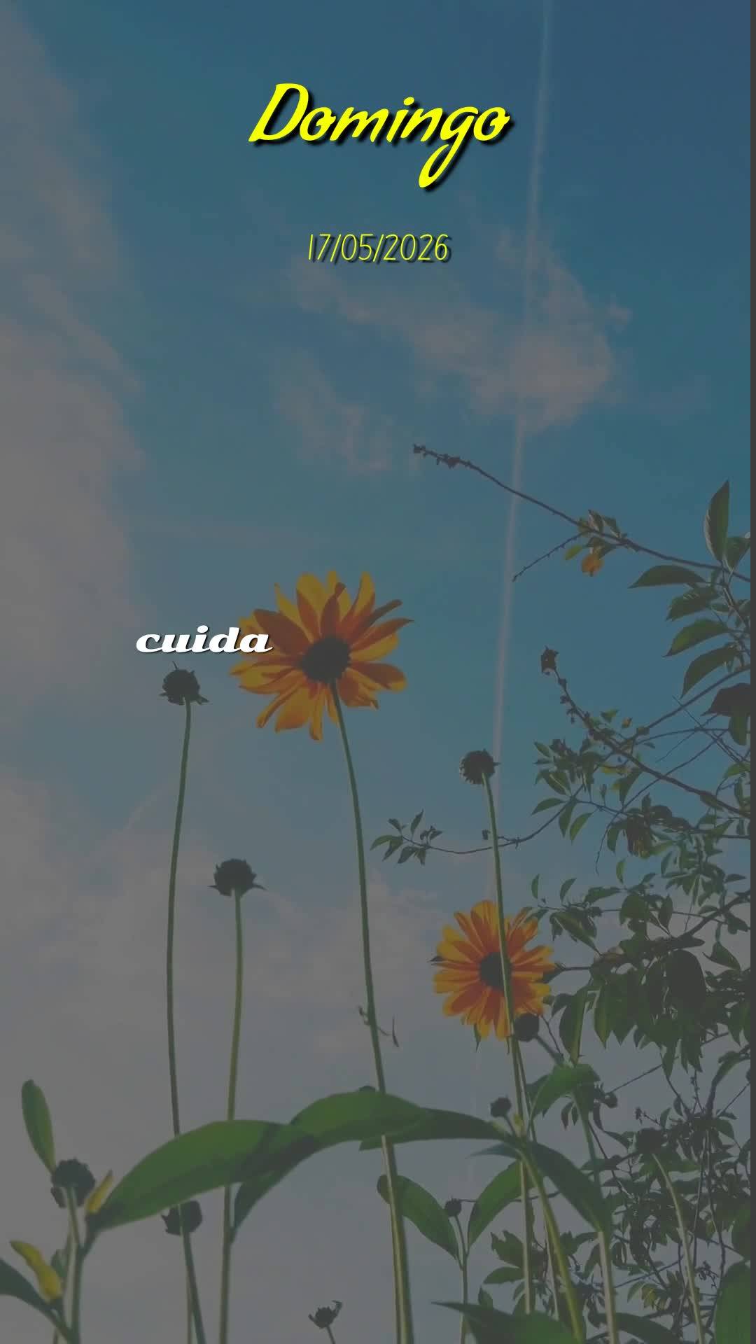 Meu bom dia especial neste domingo é para você, pessoa querida que Deus colocou no meu coração. Hoje, dia 17 de maio de 2026, dia do Senhor, eu paro ...