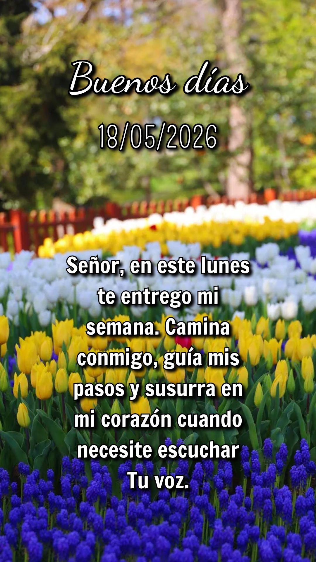 Nesta nova semana, sirva ao próximo com o amor de Cristo. Um sorriso, uma palavra gentil, um gesto de compaixão podem transformar o dia de alguém. 1 J...