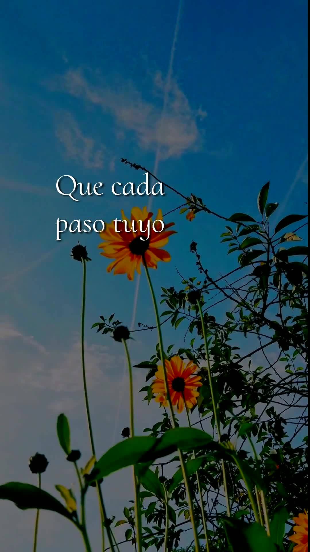 Bom dia! Hoje é Segunda-feira, 18 de Maio de 2026, e eu quero deixar uma bênção especial para você que está começando esta nova semana. Que não t...