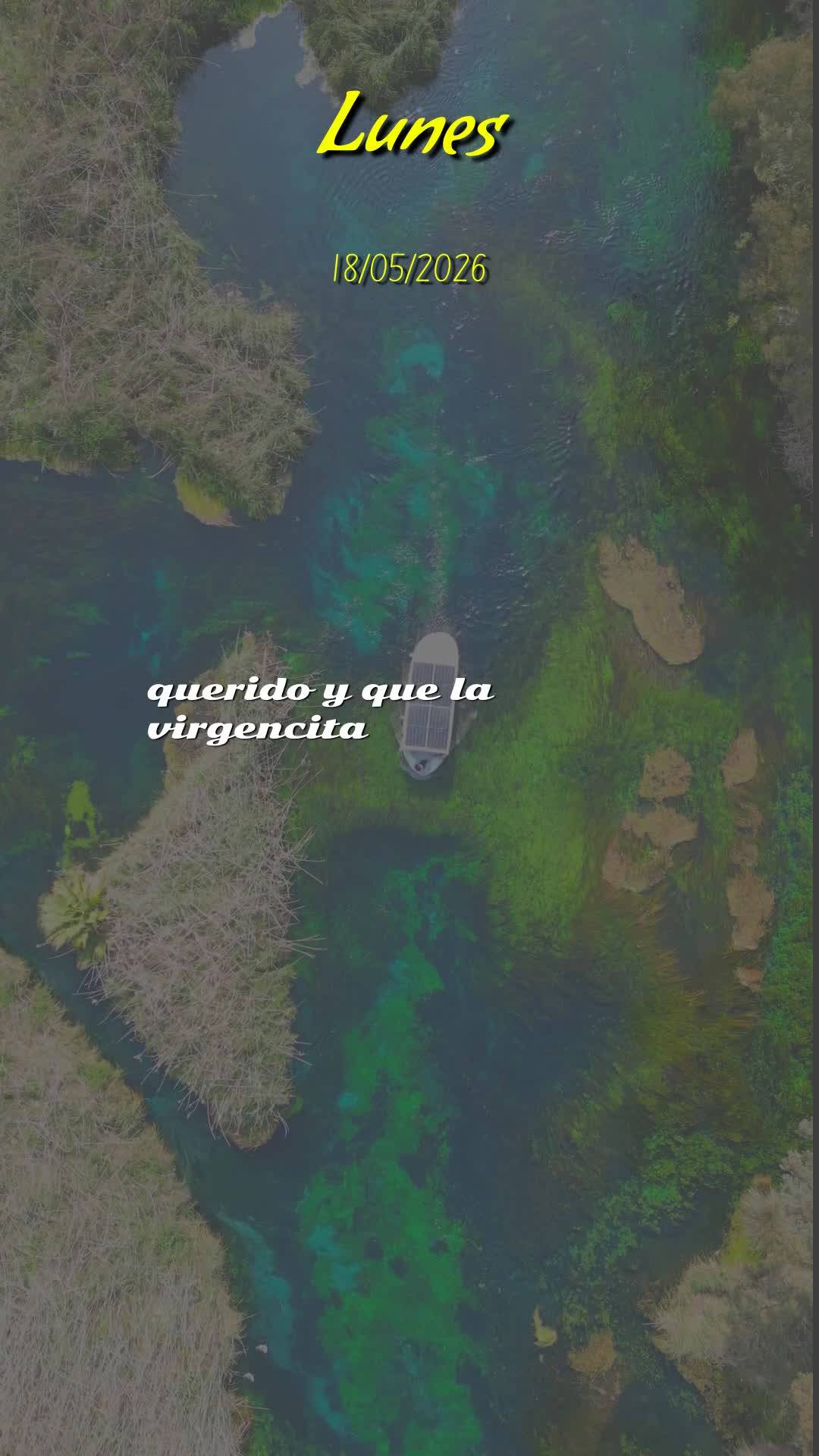Meu bom dia especial nesta segunda-feira é para você, pessoa querida que Deus colocou no meu coração. Que o Senhor te abençoe, te guarde e te guie e...