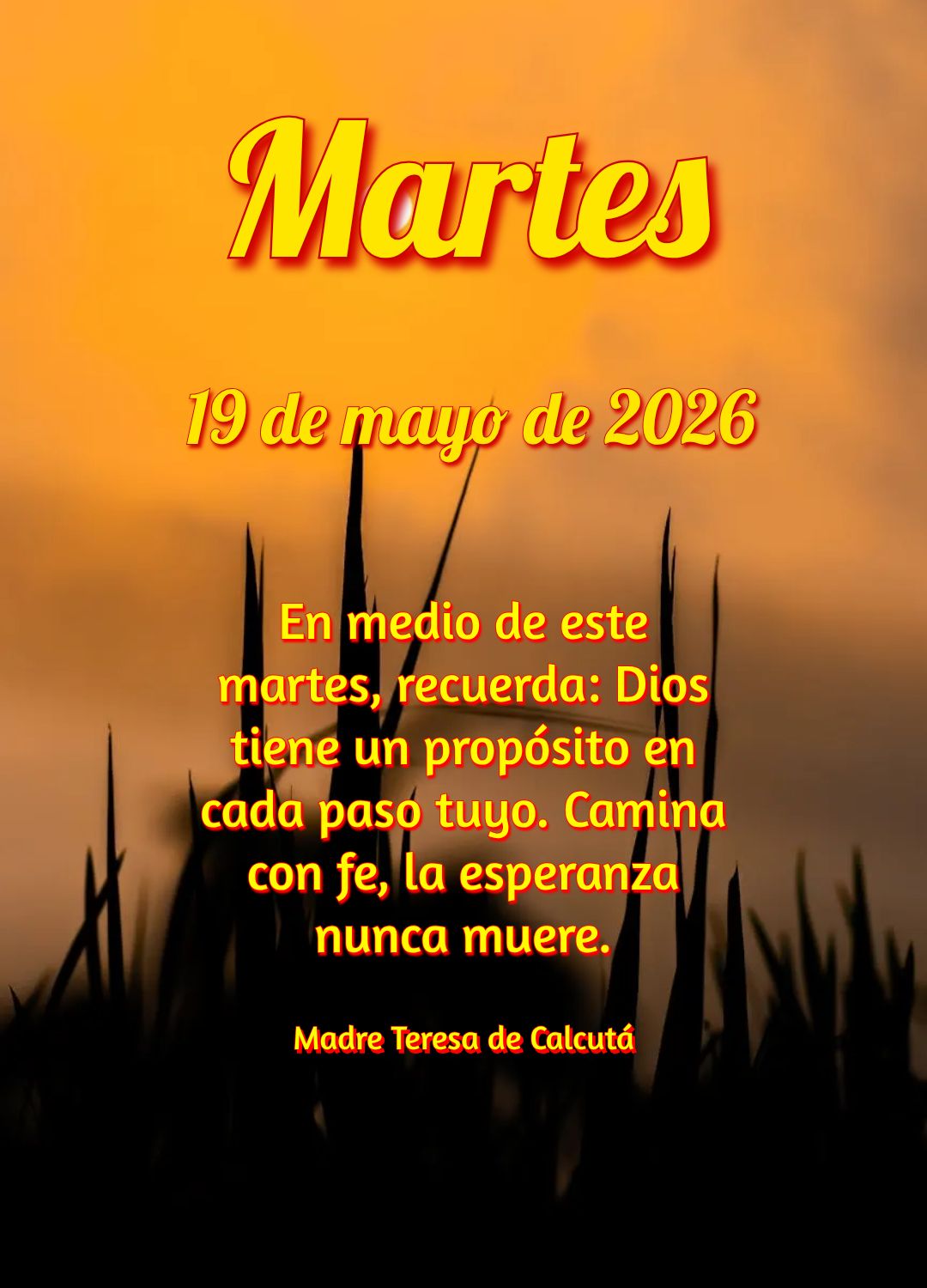 Confia no Senhor de todo o teu coração e não te apoies no teu próprio entendimento. Que esta terça-feira seja guiada por Ele. Provérbios 3:5