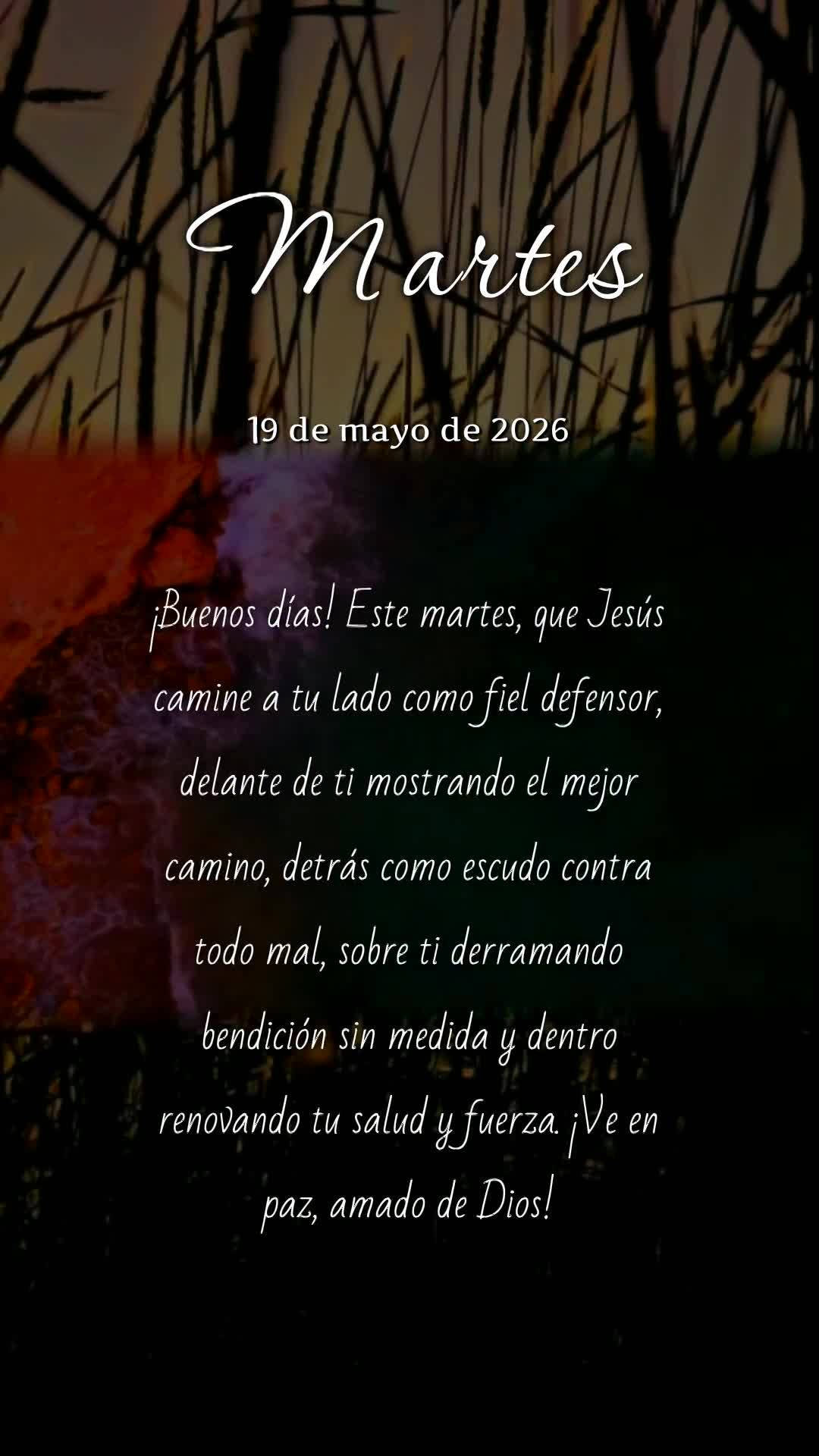Bom dia! Nesta terça-feira, que Jesus caminhe contigo: ao teu lado como defensor fiel, à tua frente abrindo caminhos, atrás de ti como escudo, sobre t...