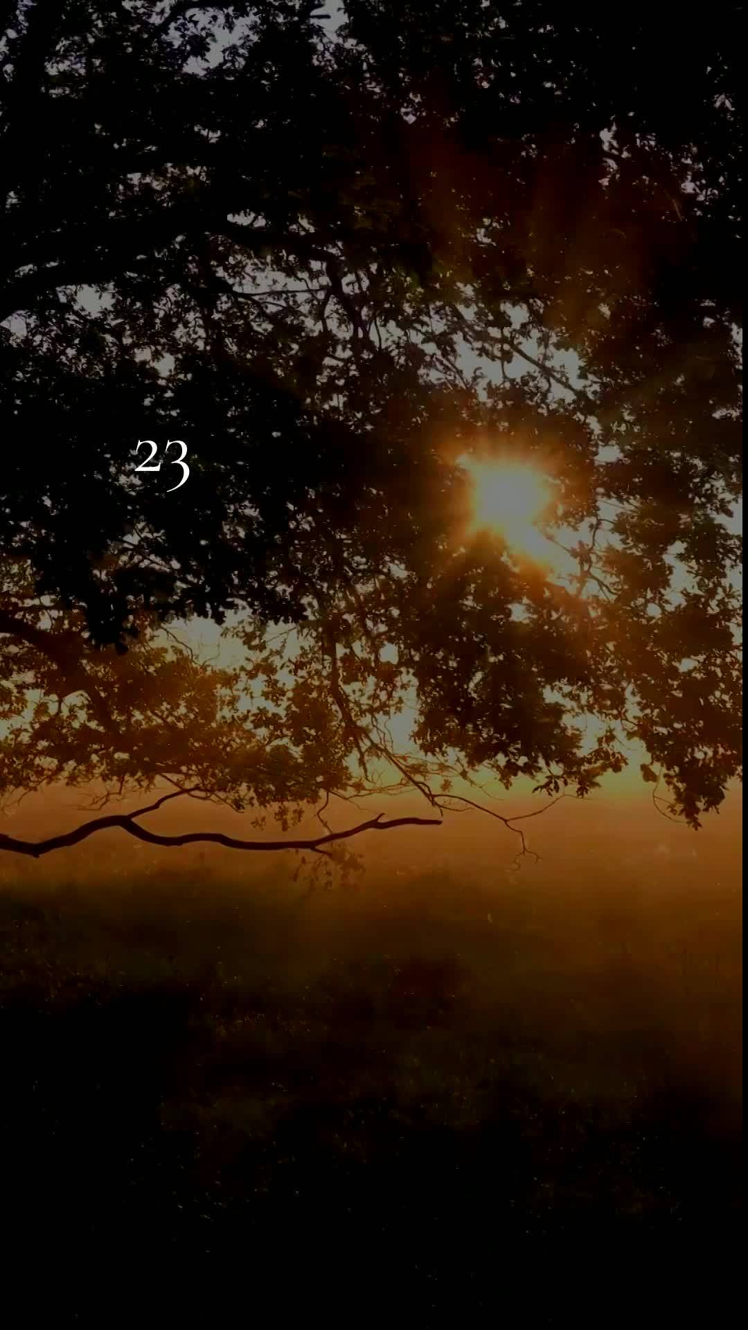 Deus, hoje é terça-feira, meu Pai, dia dezenove de Maio de dois mil e vinte e seis, e antes que o sol tome conta do céu, eu paro para te dizer: bom di...