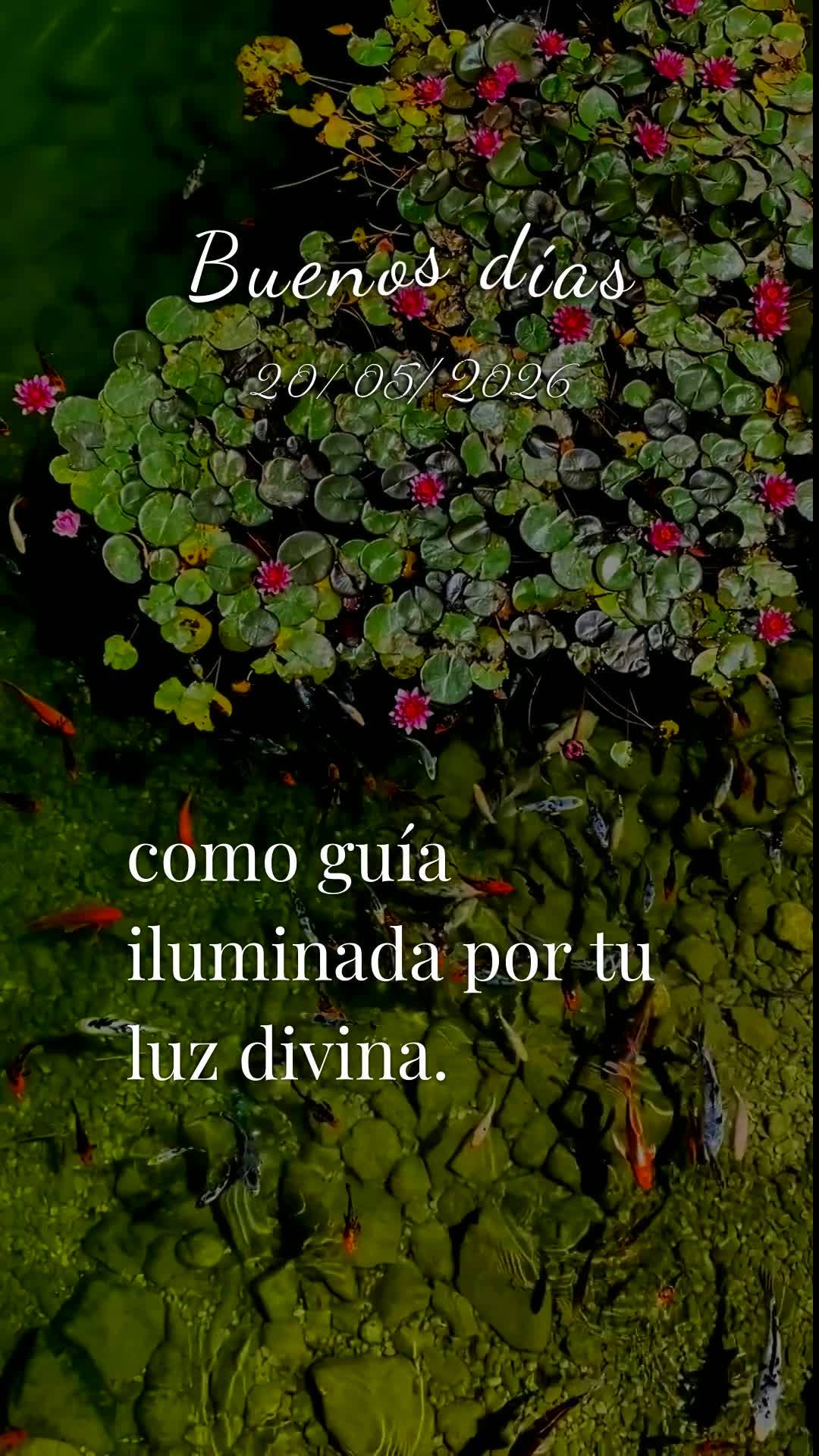 Bom dia, Jesus, meu Mestre e Senhor. Nesta quarta-feira, 20 de Maio de 2026, eu Te ofereço todas as minhas ações deste dia, para a paz e a glória do ...