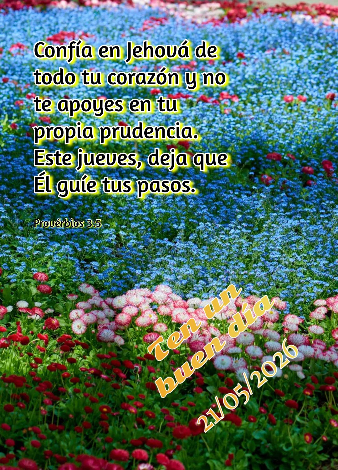 Nesta quinta-feira, não desanime diante dos desafios! Deus está contigo e Ele é maior que qualquer obstáculo. Avance com fé! Tenha um bom dia Hillso...