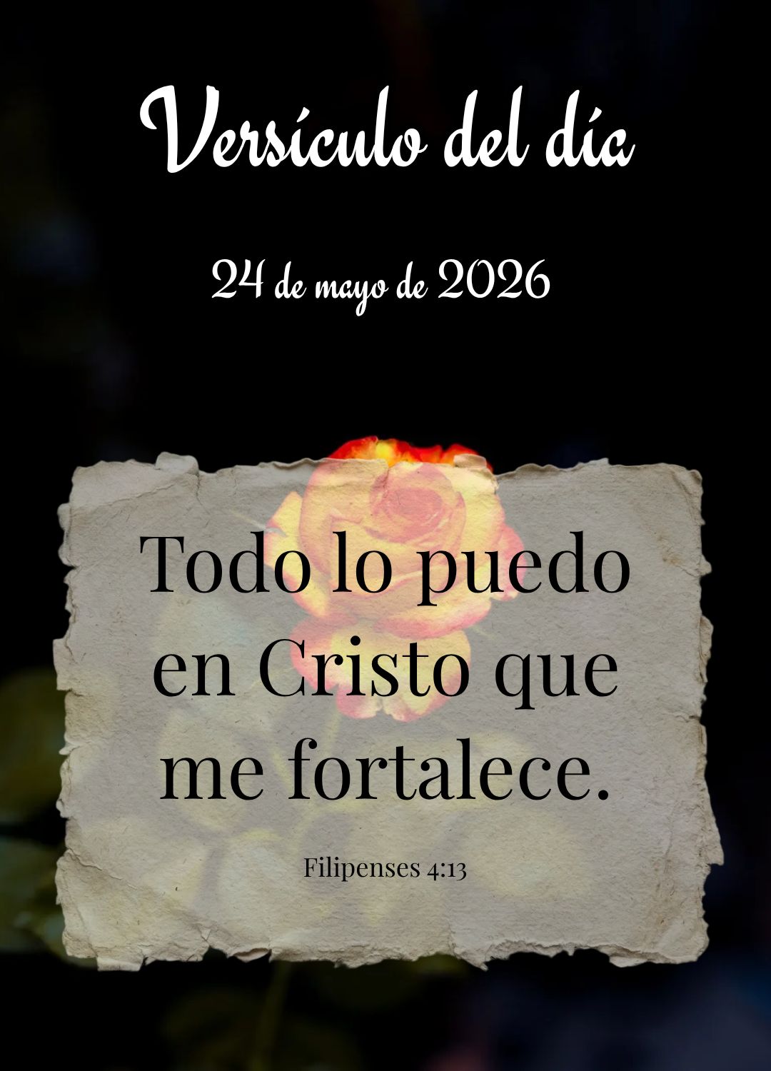 Posso todas as coisas naquele que me fortalece. Versículo do dia Filipenses 4:13