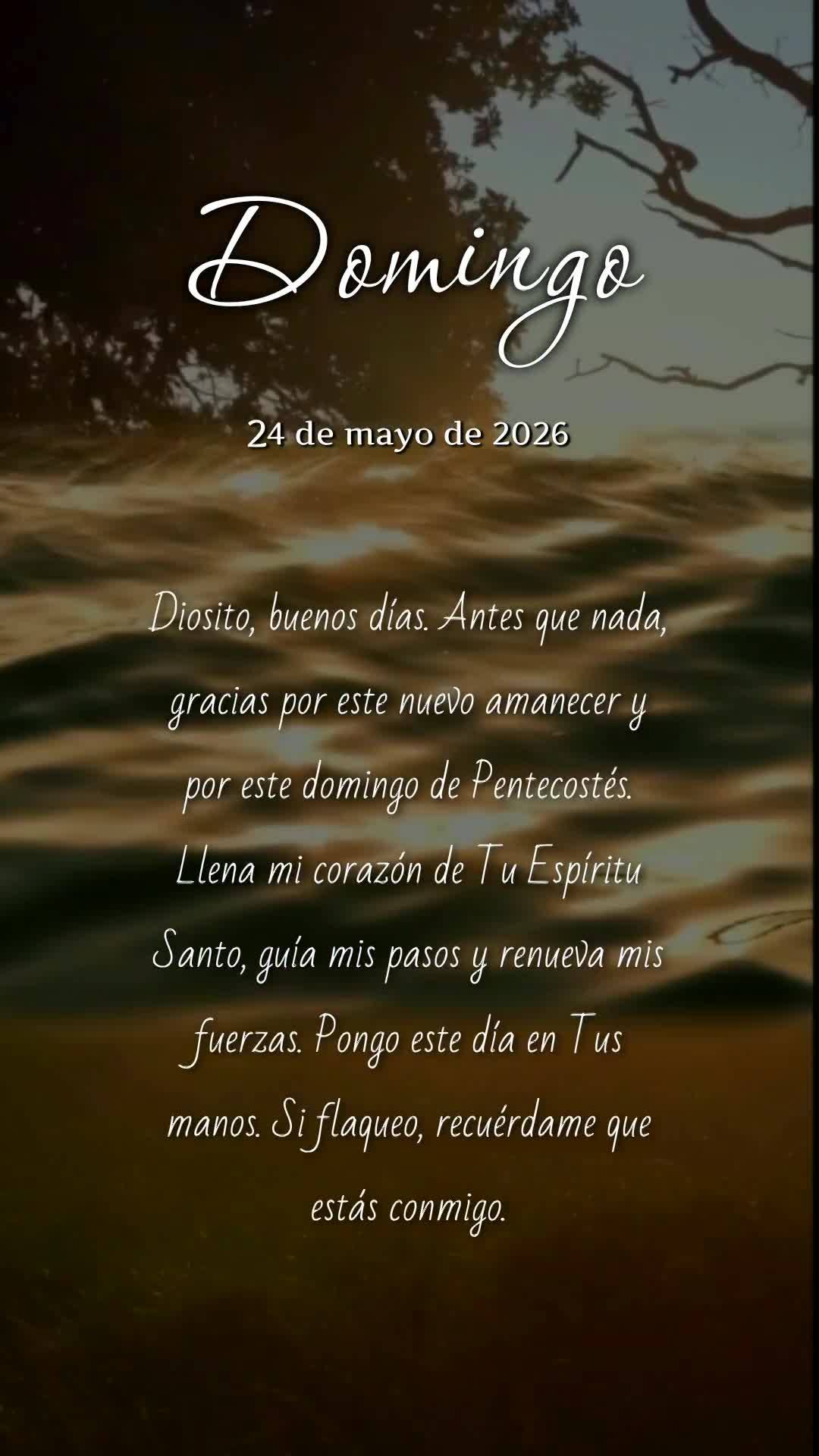 Deus, bom dia. Antes de qualquer coisa, obrigado por mais um amanhecer e por este domingo de Pentecostes. Enche meu coração do Teu Espírito, guia meus...
