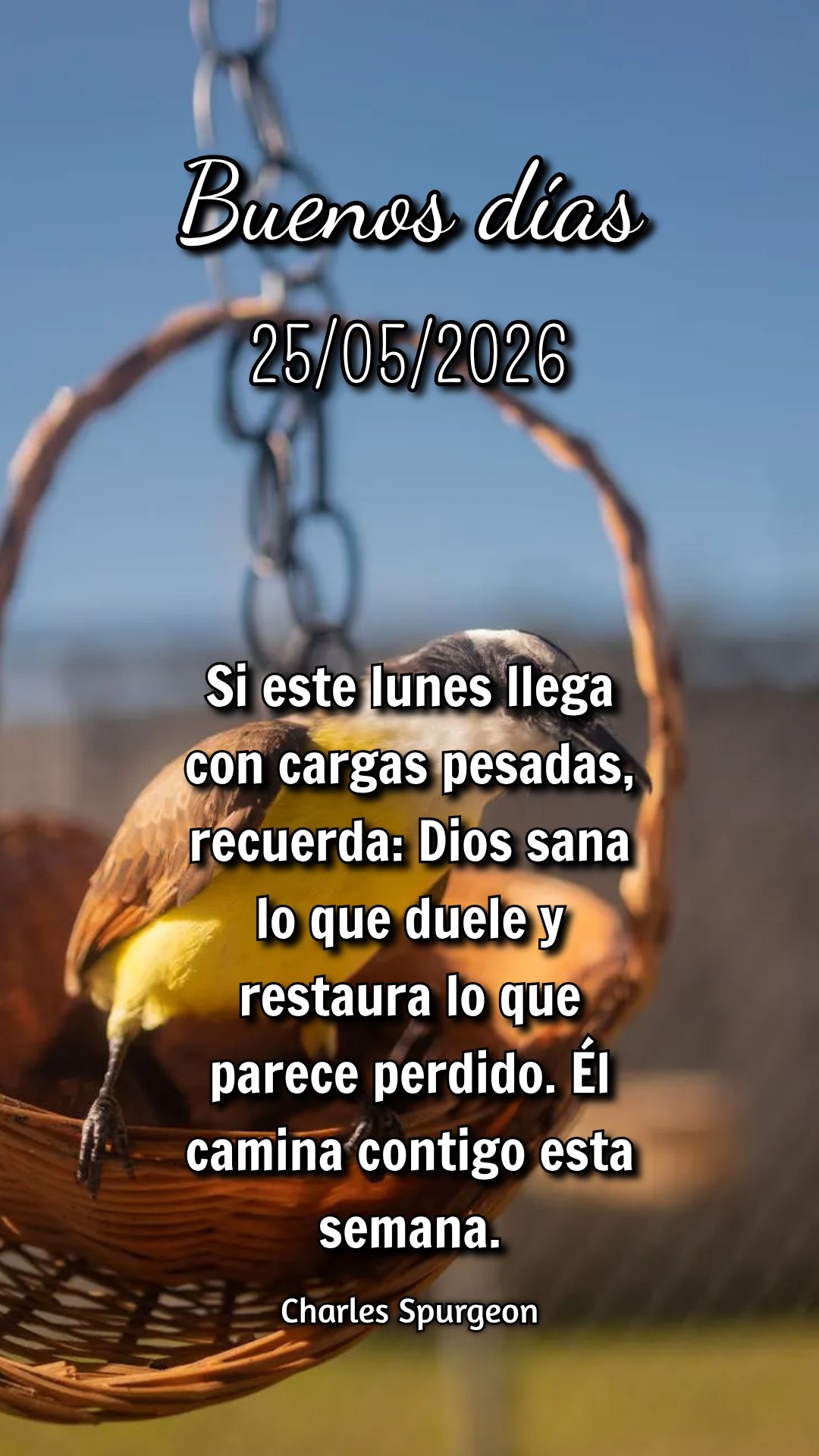 Senhor, obrigado por mais uma segunda-feira! Pela vida, pela saúde e pela nova semana que se inicia. Toda honra e glória a Ti, meu Deus! Hillsong