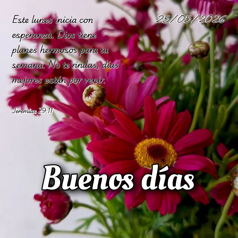 Levante-se com coragem nesta segunda-feira! Deus caminha contigo e te dá forças para vencer cada desafio desta nova semana. Não temas! Josué 1:9