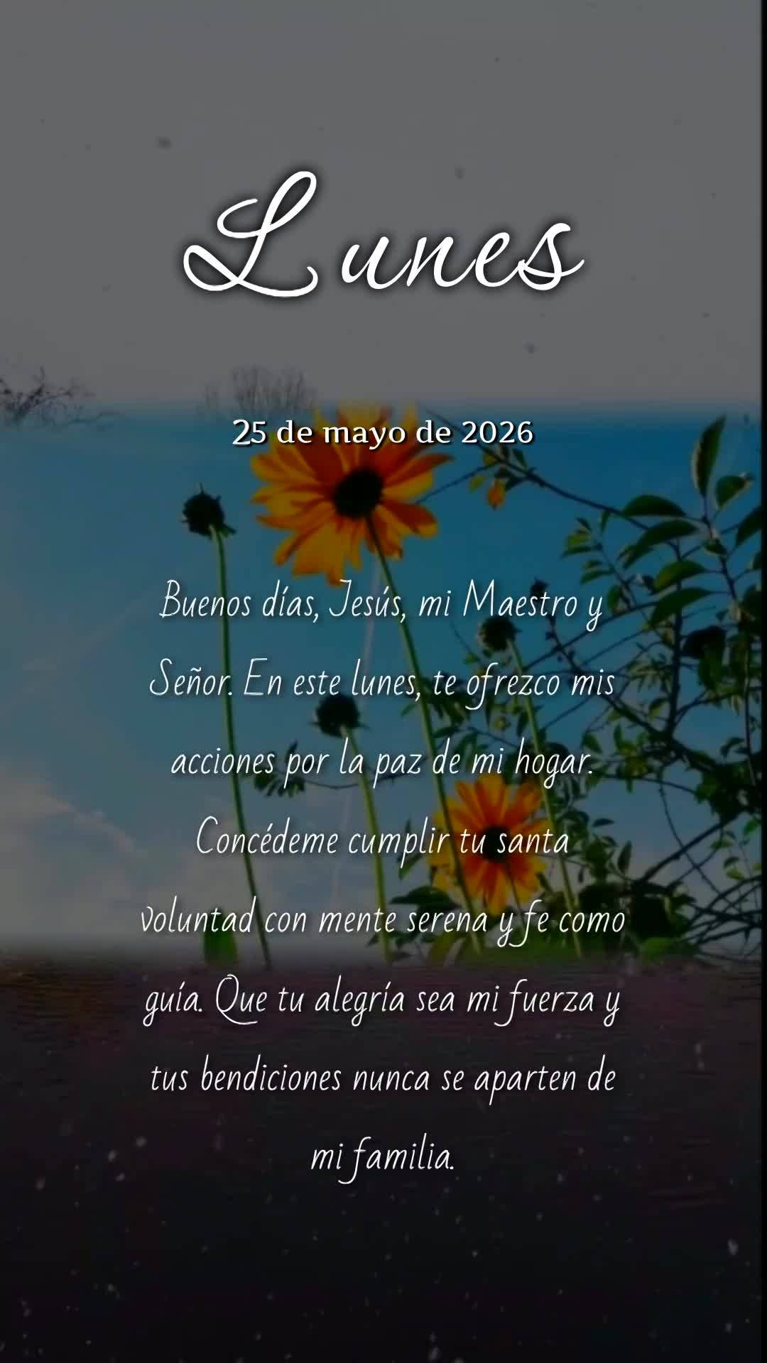 Bom dia, Jesus, meu Mestre e Senhor. Nesta segunda-feira, ofereço minhas ações pela paz do meu lar. Concede-me cumprir Tua santa vontade, com mente ca...