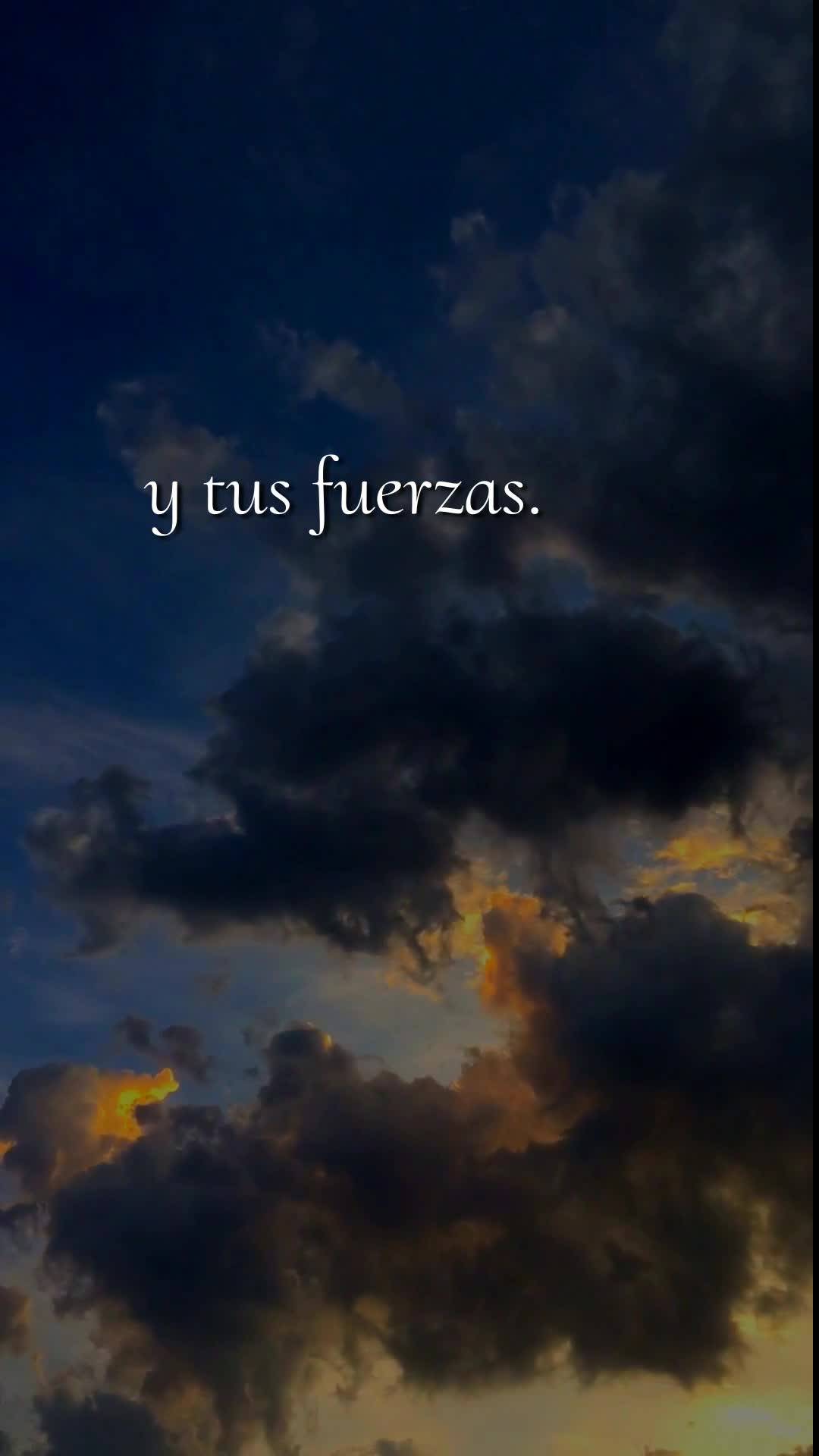 Bom dia! Hoje, Segunda-feira, 25 de Maio de 2026, eu proclamo uma bênção sobre a tua vida. Que o Senhor Jesus caminhe contigo nesta nova semana, ao te...