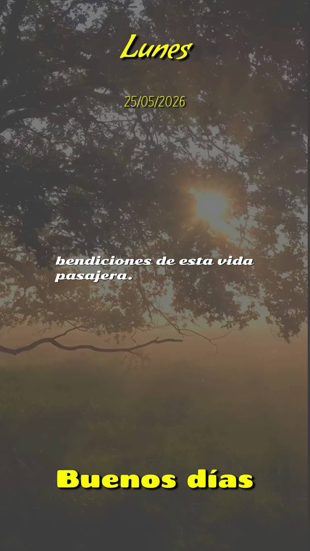 Bom dia, Jesus, meu Mestre e Senhor. Nesta Segunda-feira, 25 de Maio de 2026, uma nova semana se abre diante de mim, e eu Te ofereço cada ação, cada p...