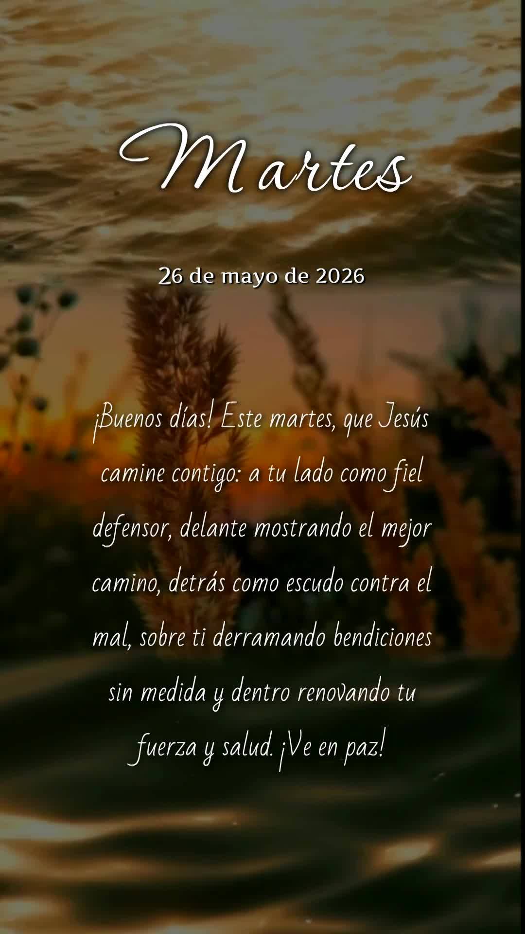 Bom dia! Nesta terça-feira, que Jesus caminhe contigo: ao teu lado como defensor fiel, à tua frente mostrando o caminho, atrás como escudo contra o ma...