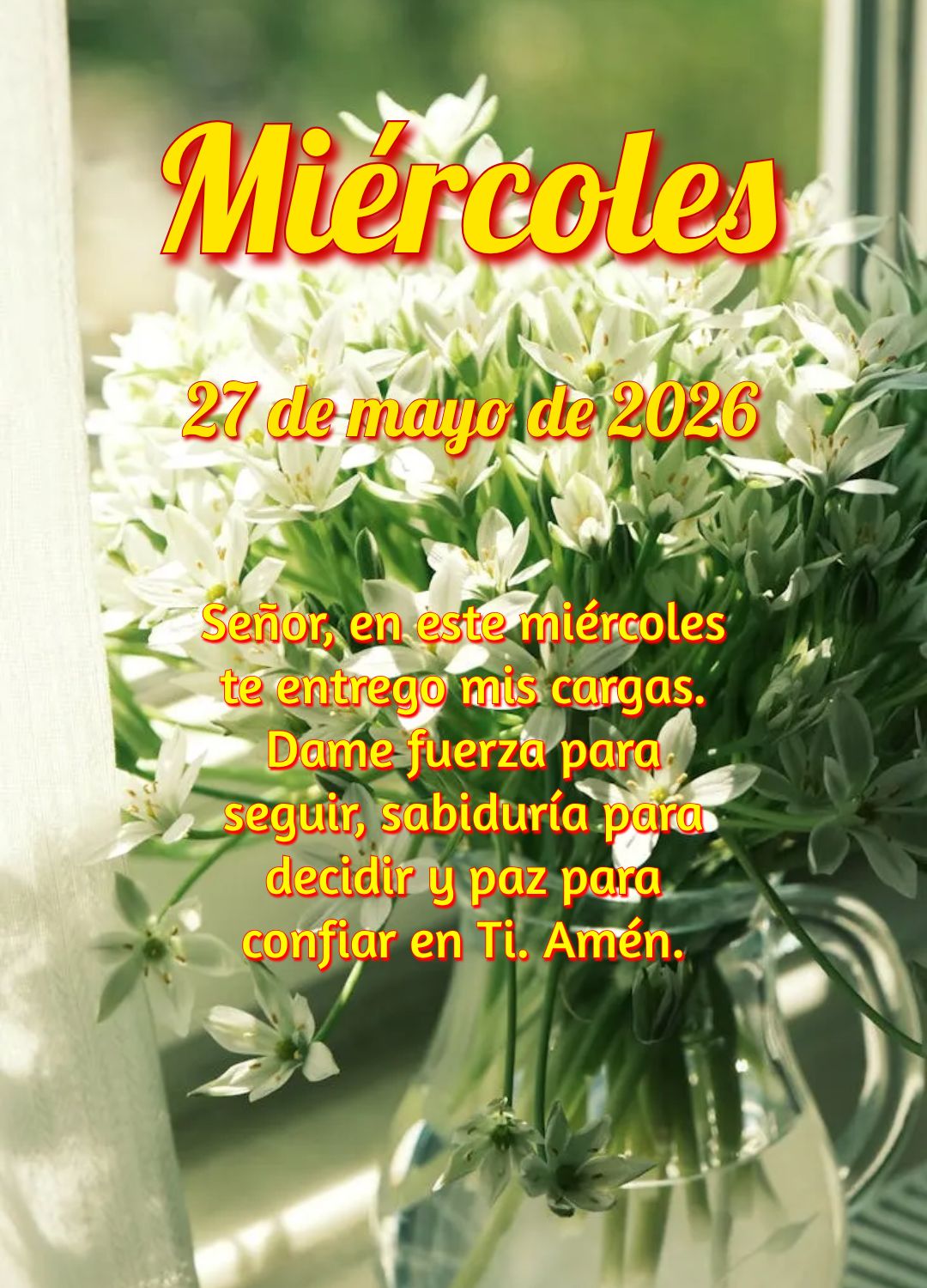 Nesta quarta-feira, se o coração estiver ferido, lembre-se: Deus está perto dos quebrantados e cura cada lágrima silenciosa. Salmos 34:18