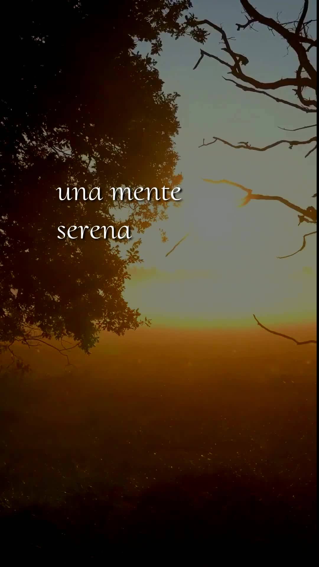Bom dia, Jesus, meu Mestre e Senhor. Mais uma manhã começa nesta quarta-feira, 27 de Maio de 2026, e diante de Ti curvo o meu coração. Eu Te ofereço...