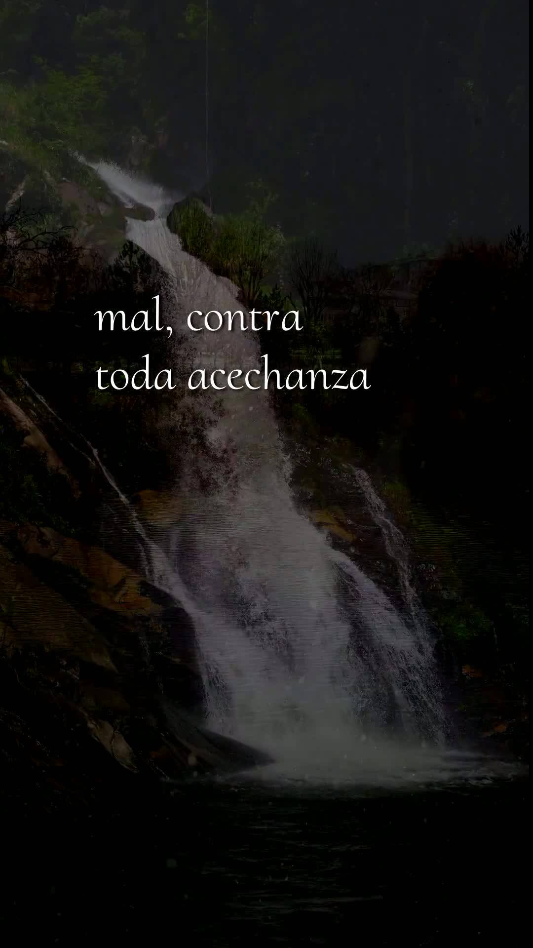 Bom dia! Nesta quinta-feira, 28 de Maio de 2026, eu proclamo sobre a sua vida uma bênção poderosa em nome de Jesus. Que o Senhor caminhe ao seu lado c...