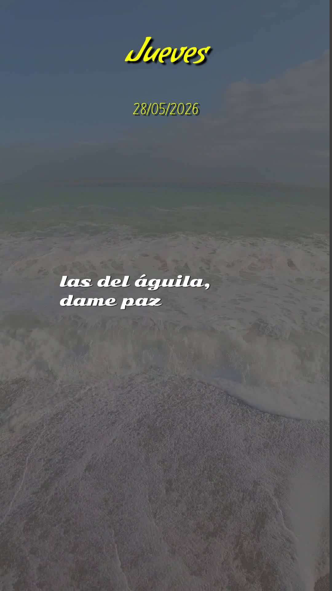 Bom dia, meu Deus. Hoje é quinta-feira, vinte e oito de maio de 2026, e antes que o sol tome conta do céu, eu paro diante de Ti para agradecer. Obrigad...