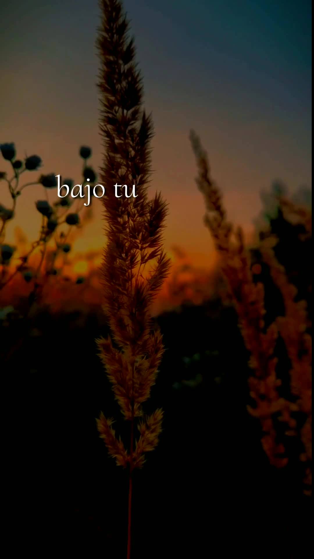 Meu bom dia especial nesta sexta-feira é para você, pessoa querida que Deus colocou no meu coração. Que o Senhor te abençoe, te guarde e te guie em ...