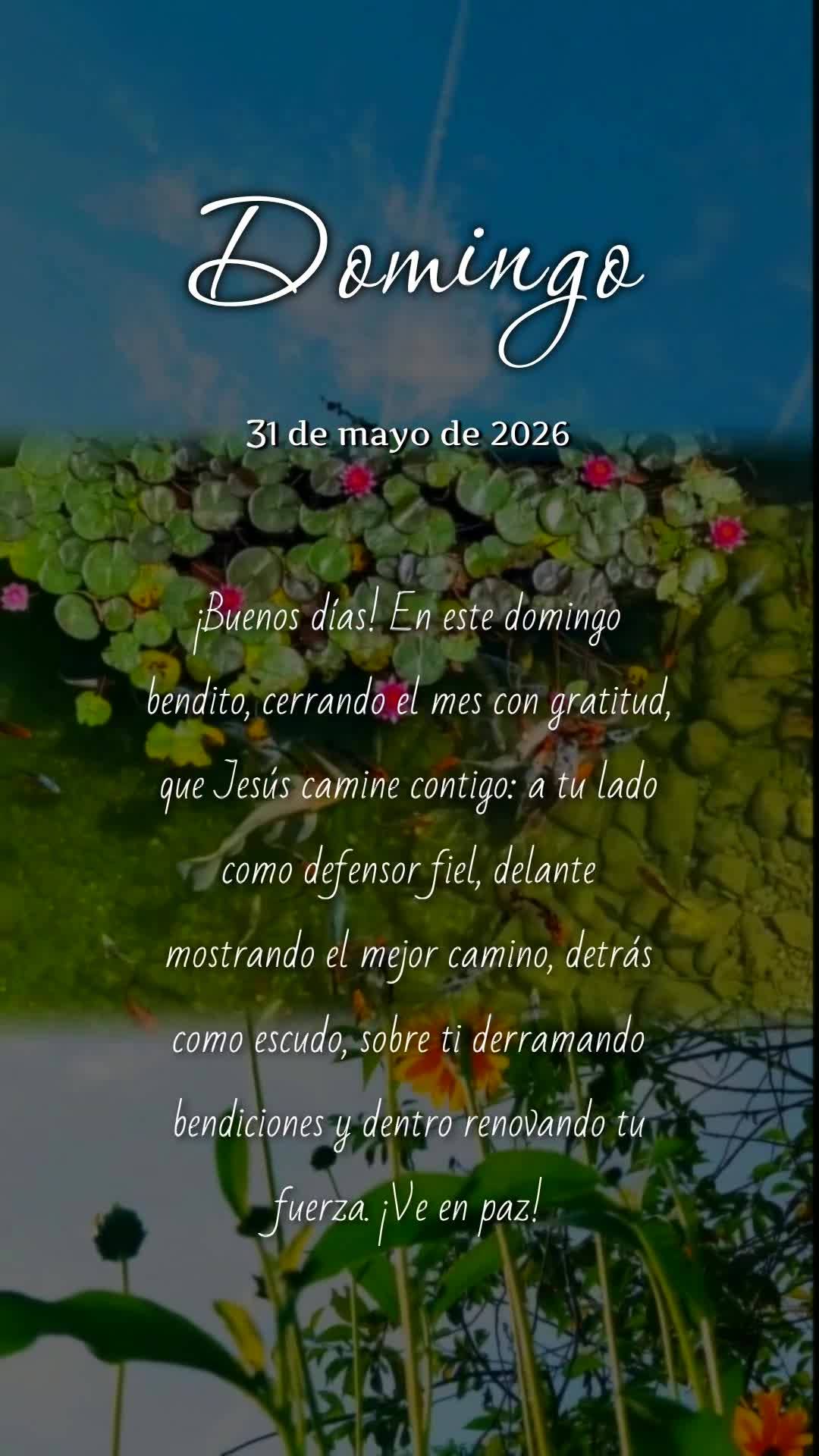 Bom dia! Neste domingo abençoado, encerrando o mês com gratidão, que Jesus caminhe contigo: ao teu lado como defensor fiel, à tua frente abrindo cami...