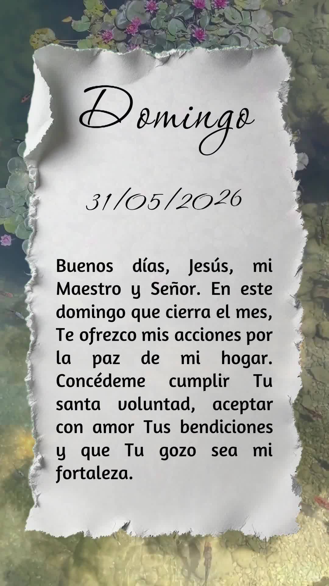 Bom dia, Jesus, meu Mestre e Senhor. Neste domingo que encerra mais um mês, ofereço-Te minhas ações pela paz do meu lar. Concede-me cumprir Tua santa...