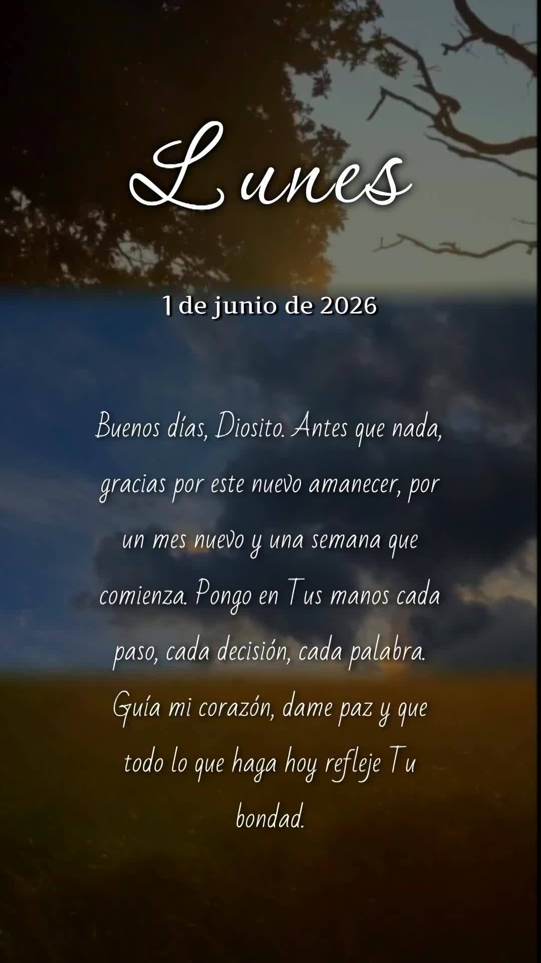 Deus, bom dia. Antes de qualquer coisa, obrigado por abrir meus olhos pra um novo mês, uma nova semana, um novo recomeço. Entrego cada passo, cada pala...
