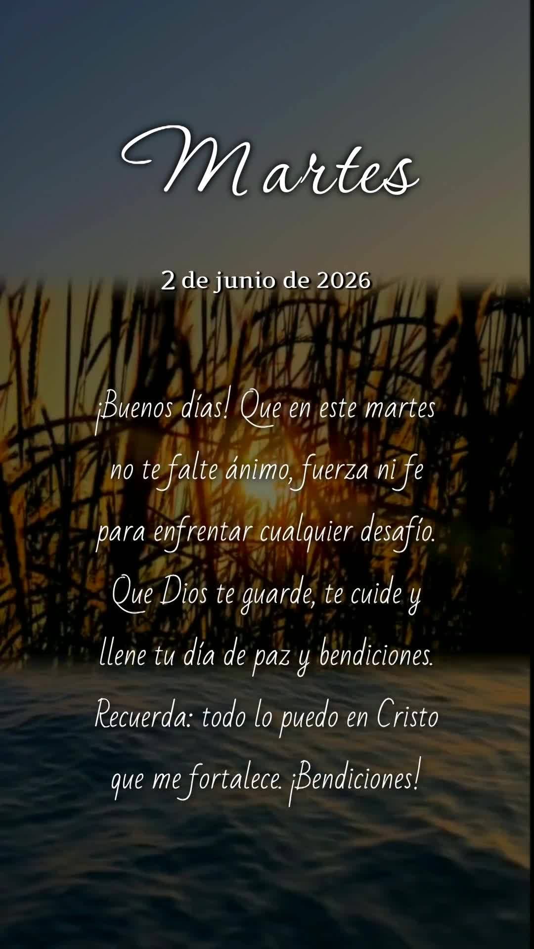 Bom dia! Que nesta terça-feira não te falte ânimo, força e fé para vencer cada desafio. Que Deus te guarde, te proteja e encha seu caminho de paz e ...