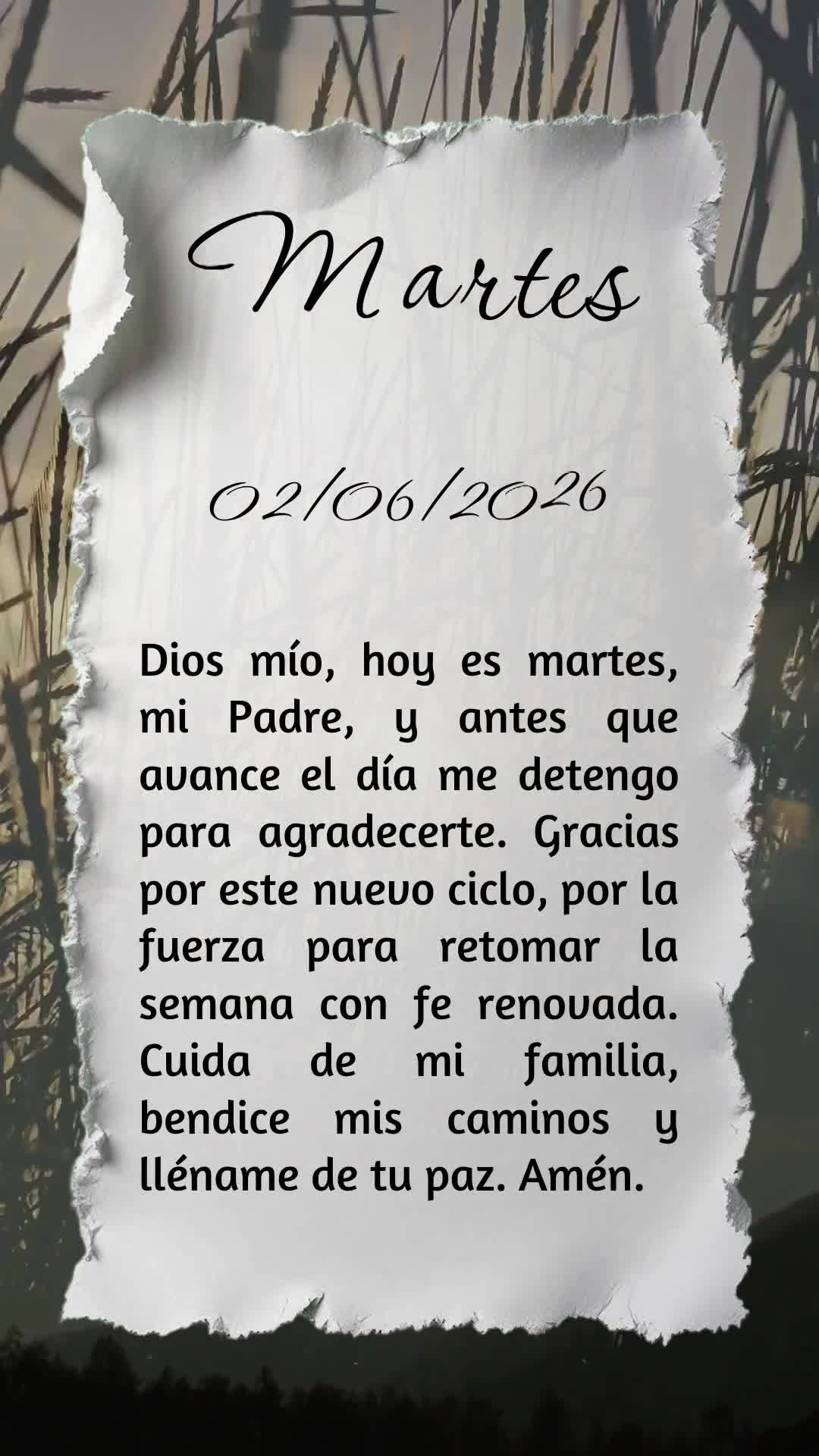 Deus, hoje é terça-feira, meu Pai, e antes que o dia avance eu paro para Te agradecer. Obrigado por este novo ciclo que se inicia, pela força para ret...