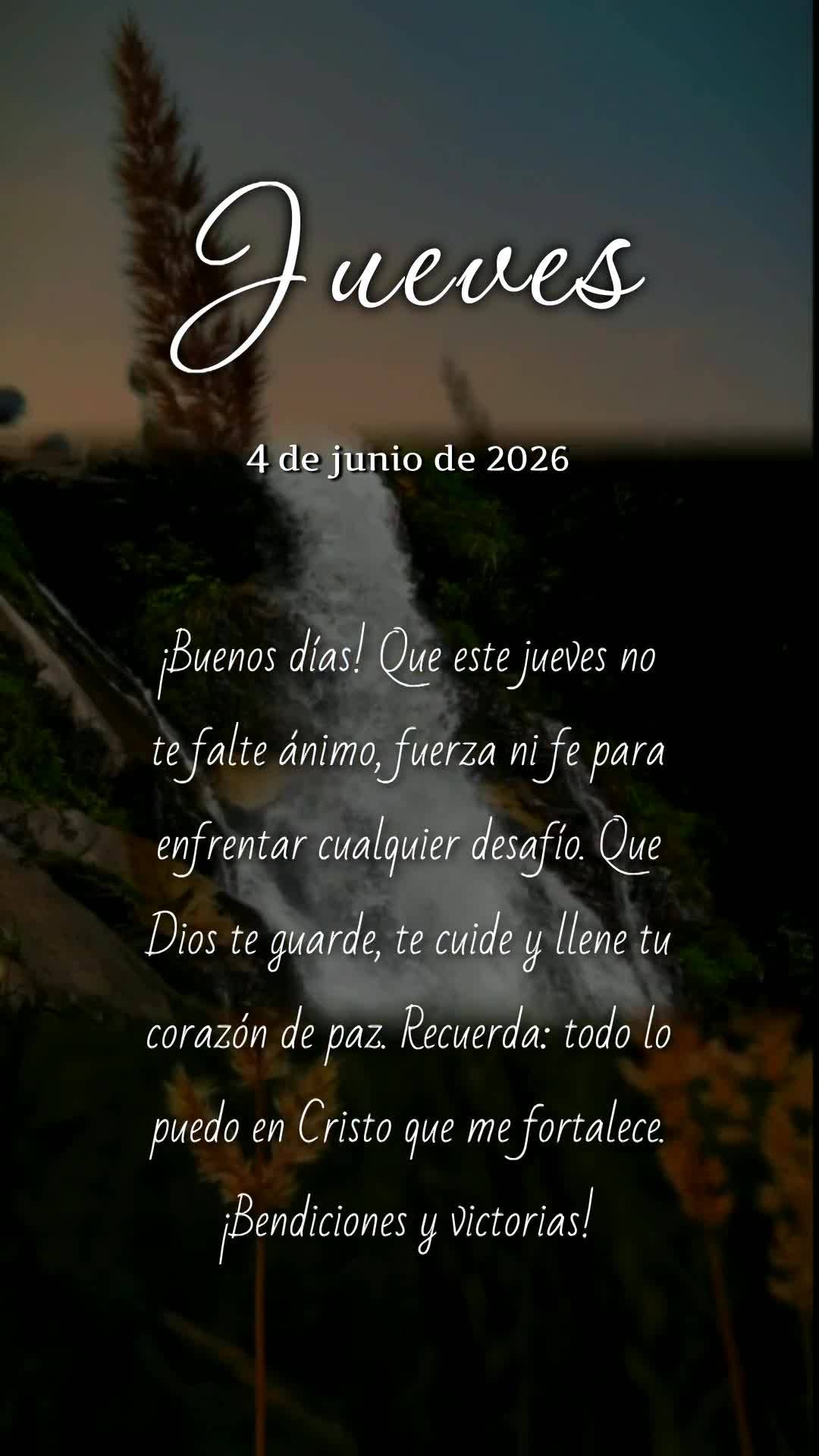 Bom dia! Que nesta quinta-feira não te falte ânimo, força e fé para vencer cada desafio. Que Deus te guarde, te proteja e encha teu coração de paz....