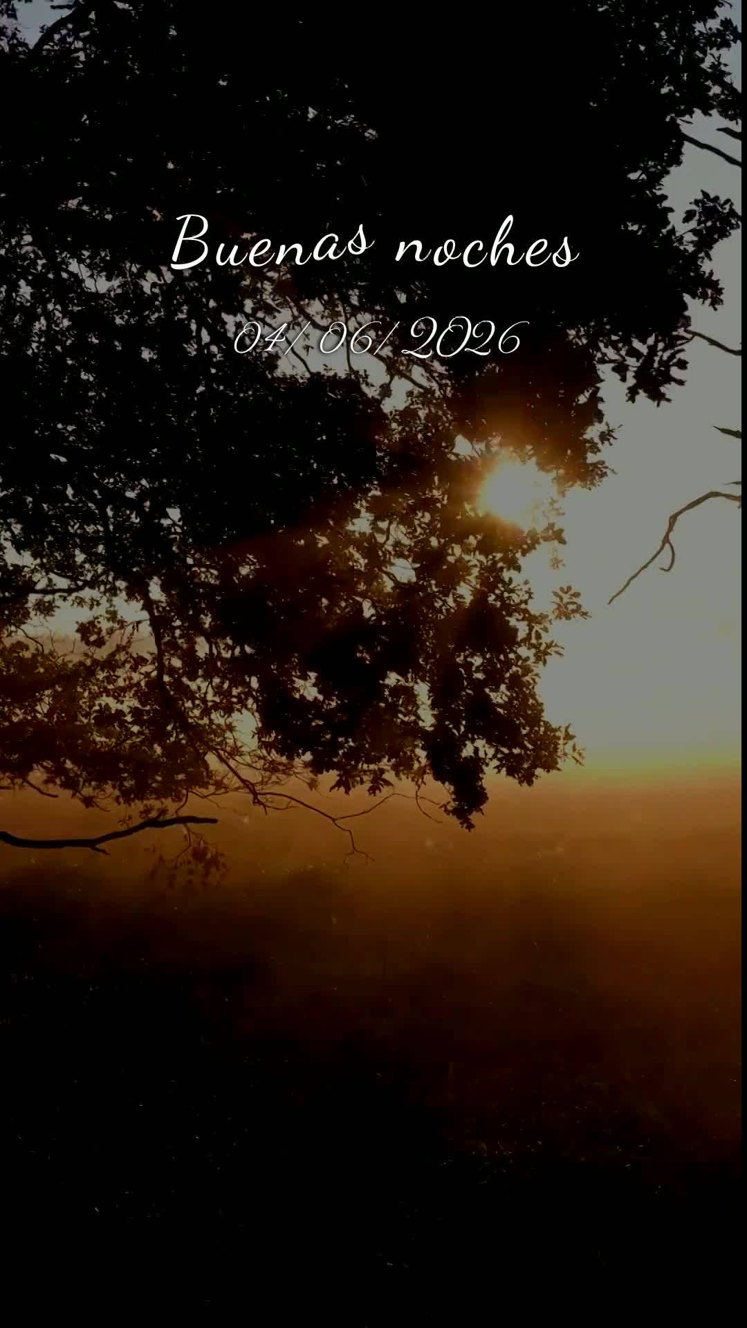 Boa noite. Nesta quinta-feira, 4 de Junho de 2026, que Deus abençoe este momento sagrado de descanso, renovando suas forças e acalmando seu coração c...