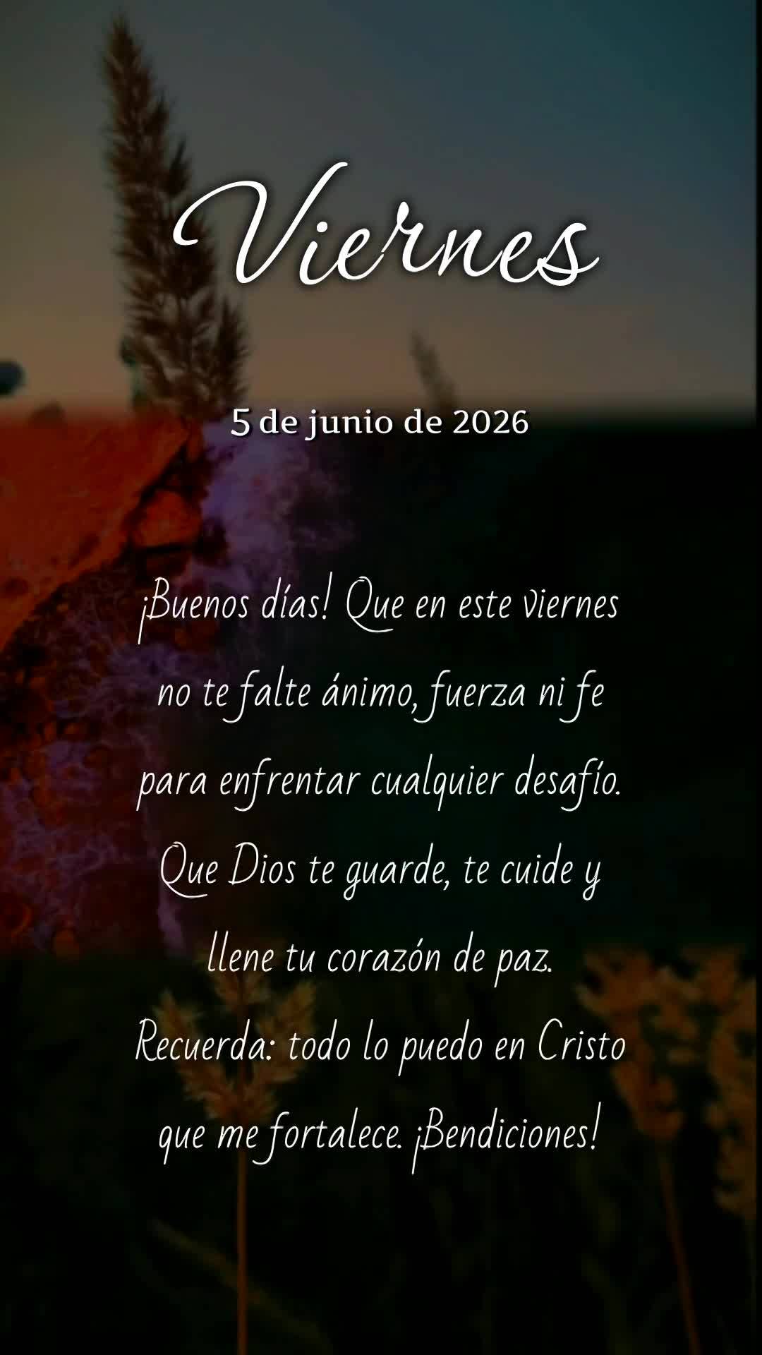 Bom dia! Que nesta sexta-feira não te falte ânimo, força e fé para vencer cada desafio. Que Deus te guarde, te proteja e encha seu coração de paz. ...