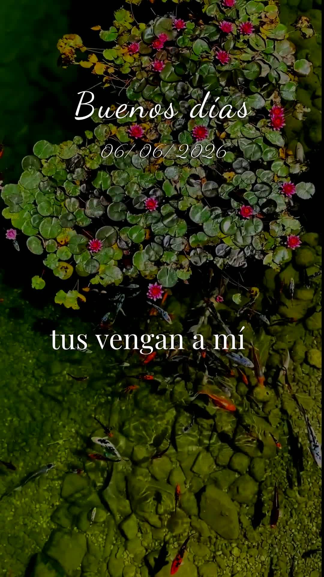 Bom dia, Jesus, meu Mestre e Senhor. Neste Sábado, 6 de Junho de 2026, mais uma manhã começa, e eu Te ofereço todas as minhas ações deste dia, para...