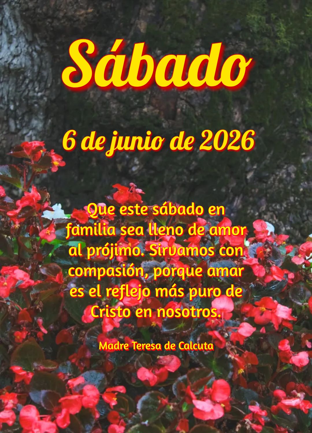 Neste sábado de descanso, lembre-se: Deus está contigo aonde quer que fores. Não temas, levanta-te e segue em frente com coragem! Josué 1:9