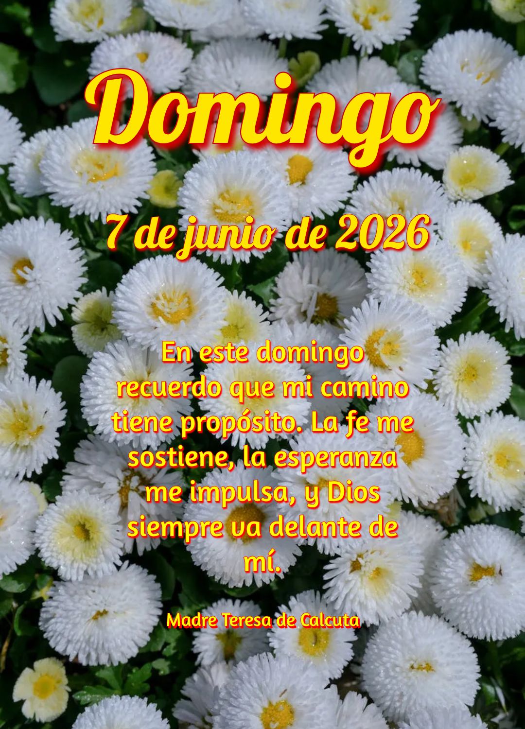 Senhor, neste domingo entrego em Tuas mãos o meu descanso, minha família e meus planos. Que a Tua vontade se faça em mim. Amém. Santo Agostinho