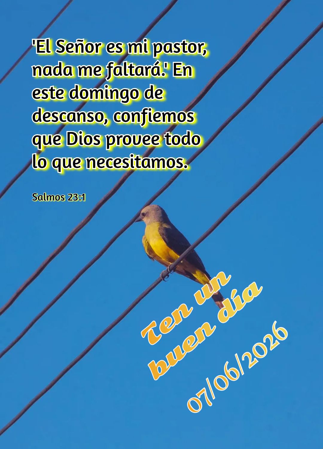 Neste domingo, abra seu coração ao próximo. Servir com amor é a forma mais bela de adorar a Deus. Compaixão transforma vidas. Tenha um bom dia Madre...