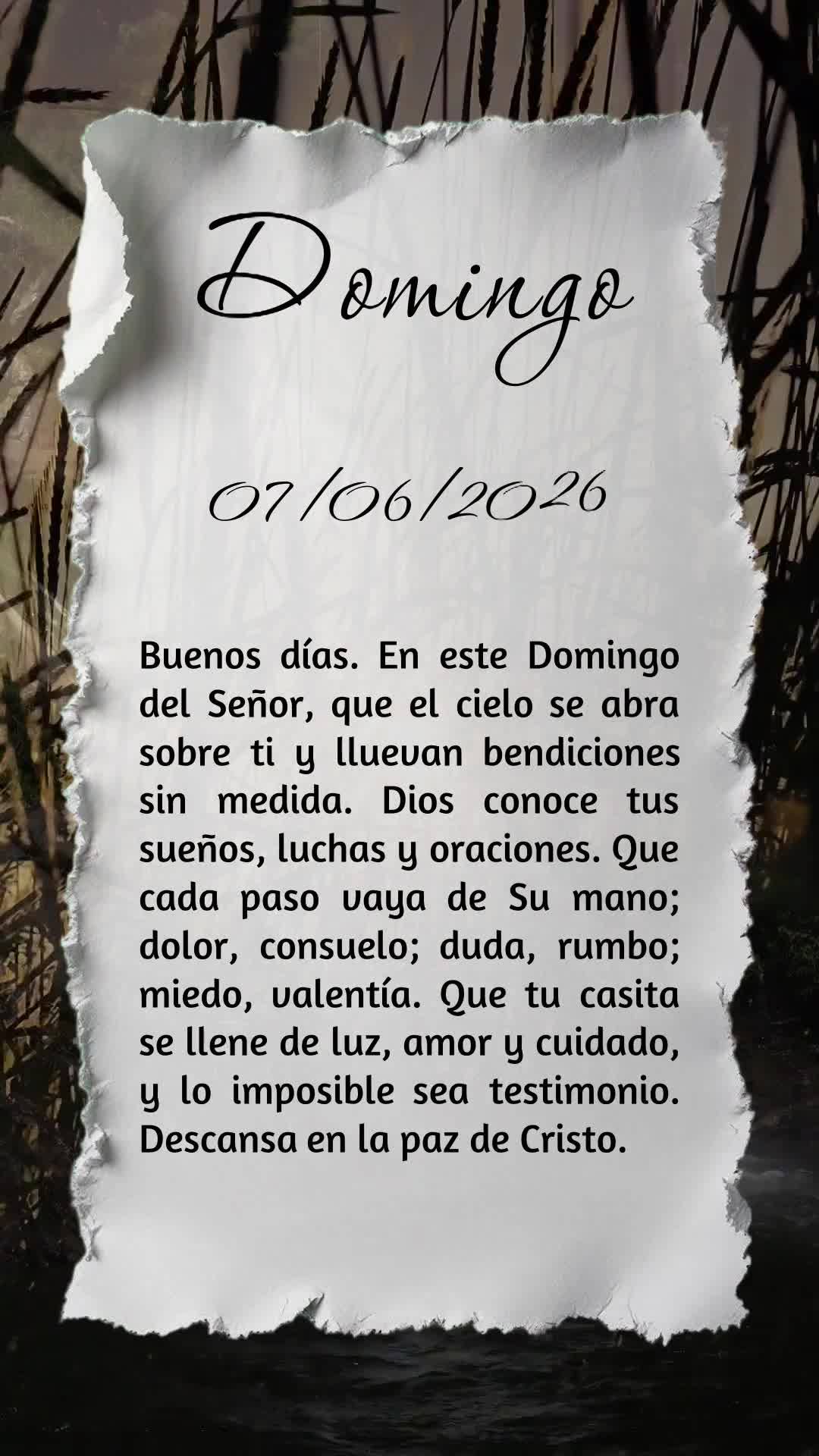Bom dia! Neste Domingo do Senhor, que o céu se abra e derrame bênçãos sem medida. Deus conhece seus sonhos, lutas e orações. Que cada passo seja gu...