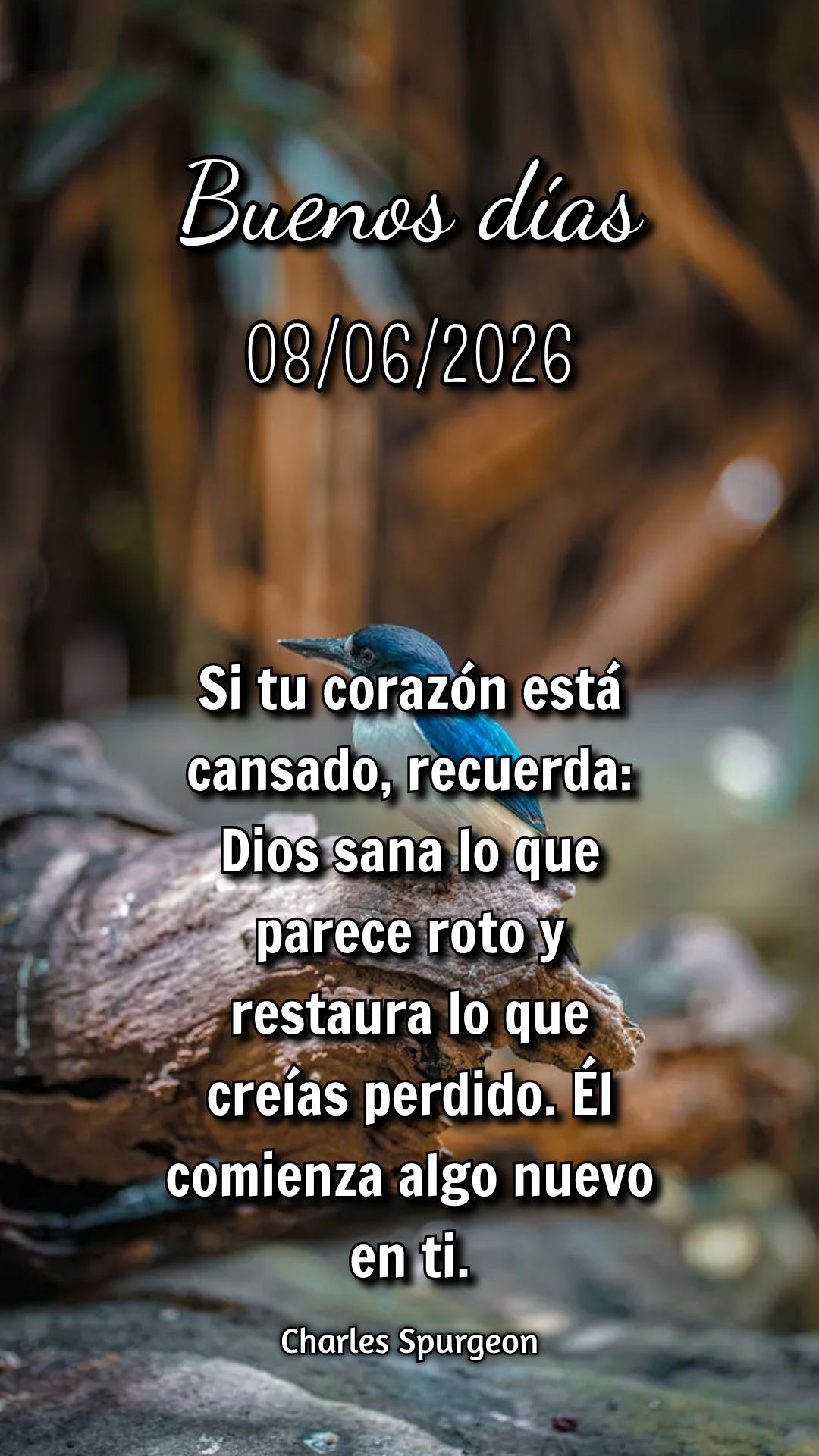 Senhor, aqui estou no início de mais uma semana. Caminha comigo, fala ao meu coração e me ensina a confiar em Ti a cada passo.