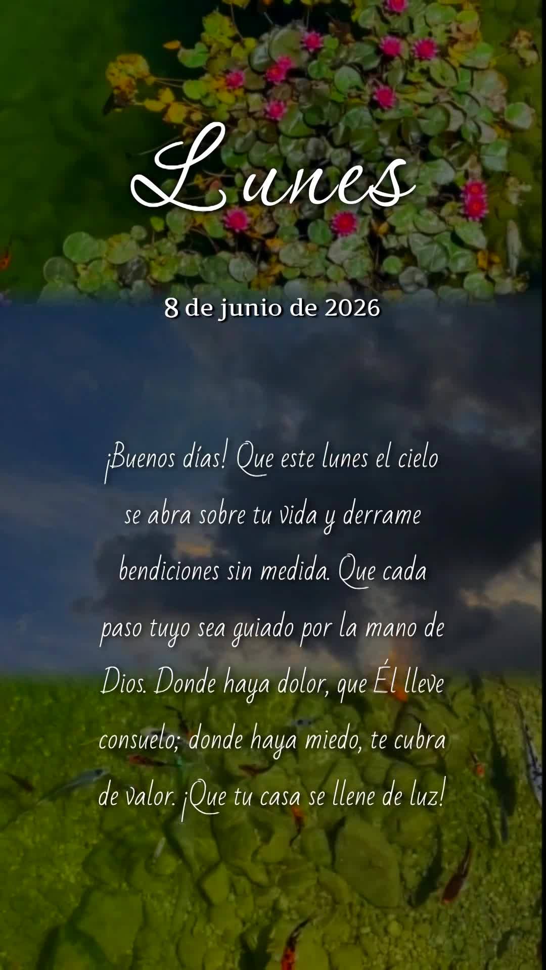 Bom dia! Que nesta segunda-feira o céu se abra sobre sua vida e derrame bênçãos sem medida. Que cada passo seu seja guiado pela mão de Deus, que ond...
